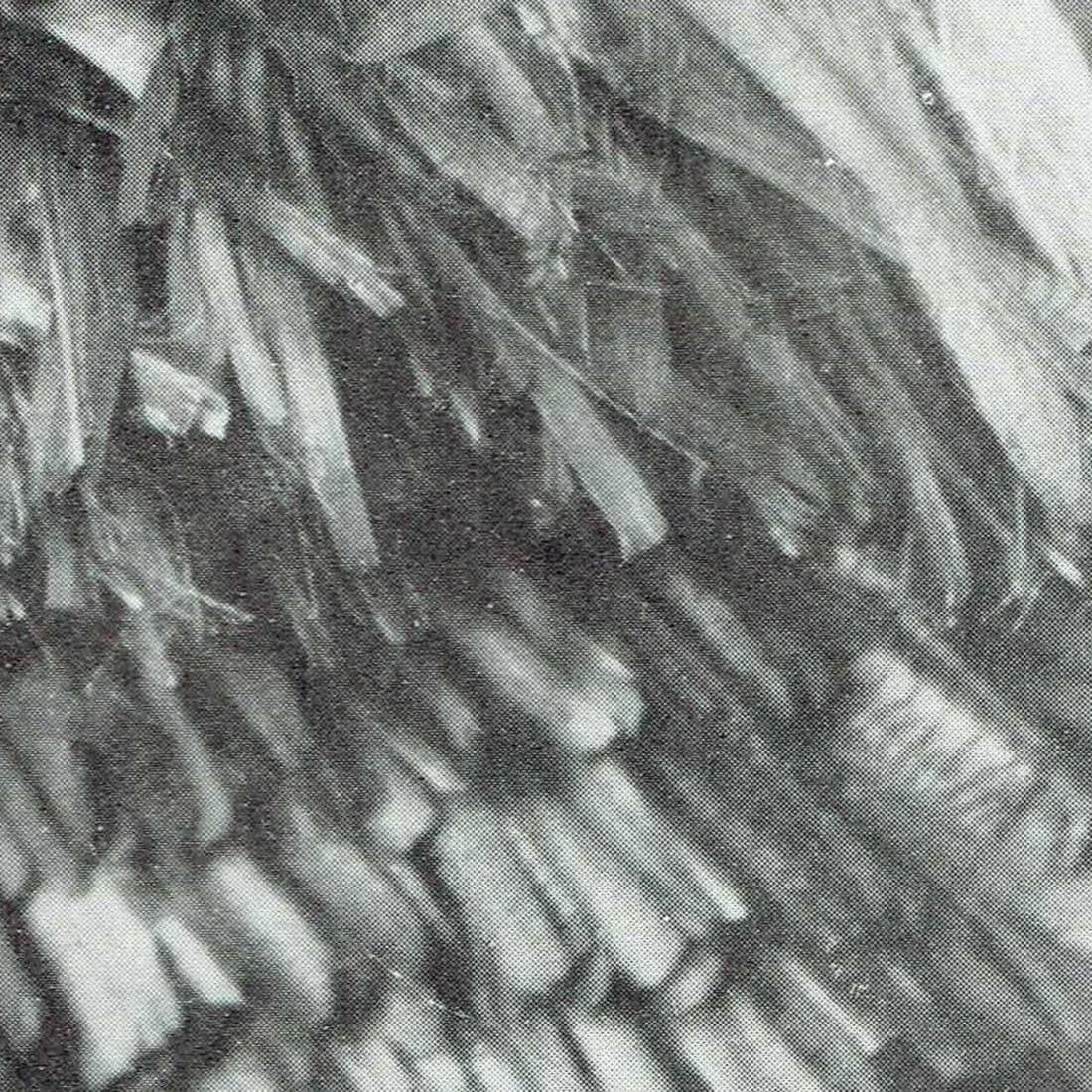 Image 3 copy 1
