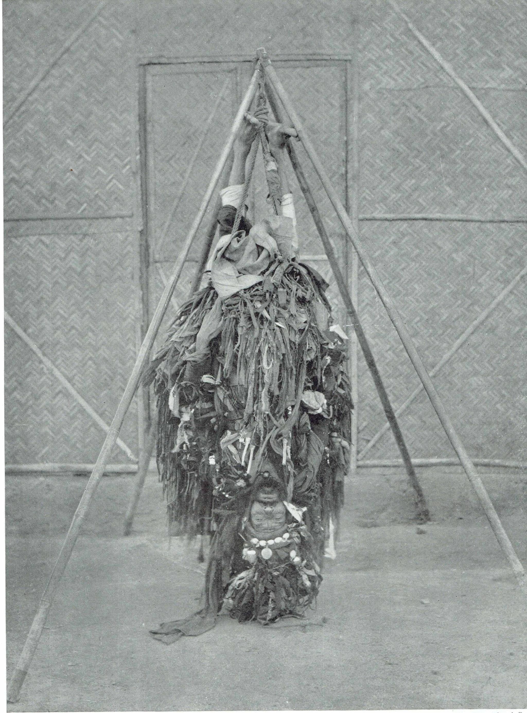 Image 2 copy 1