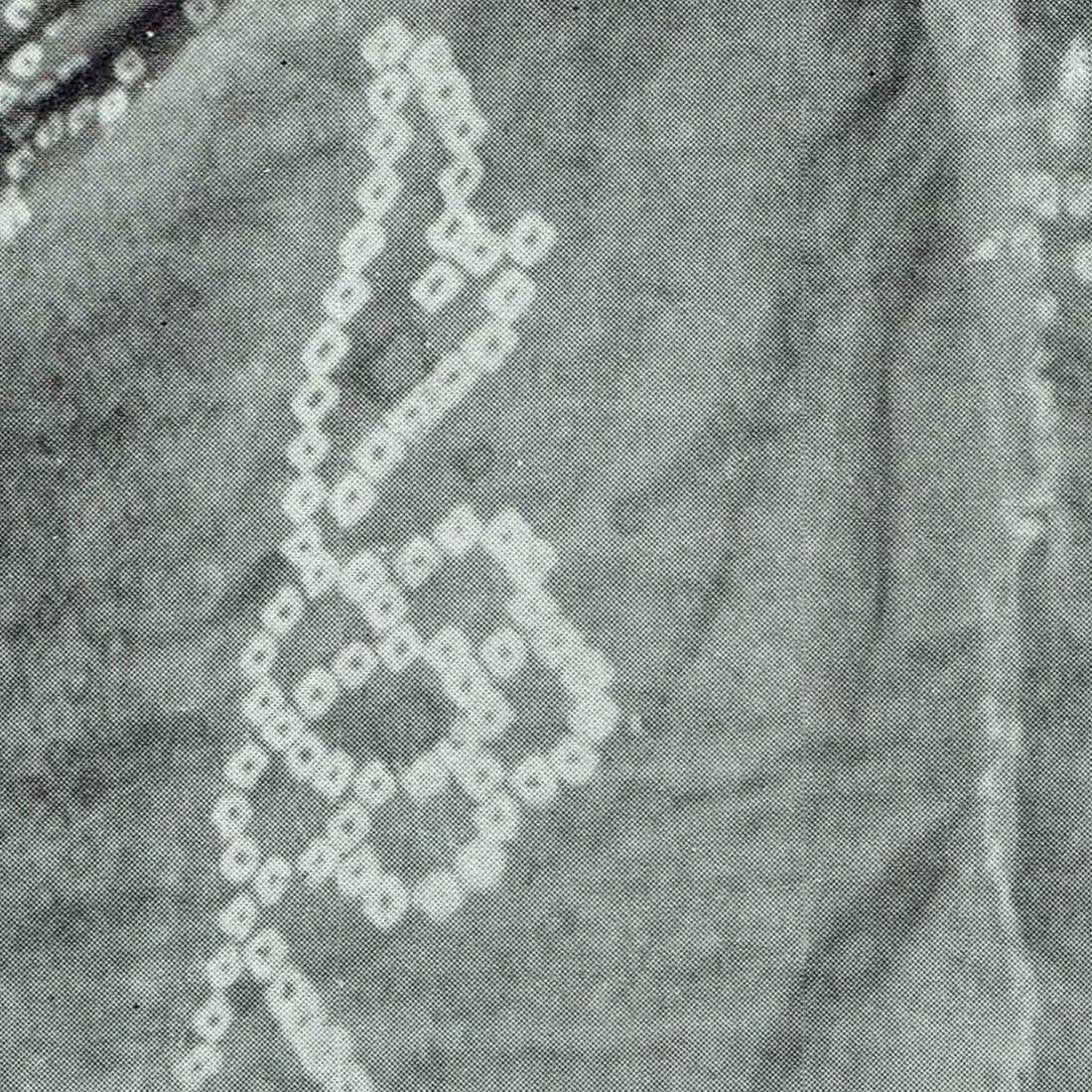 Image 3 copy 1