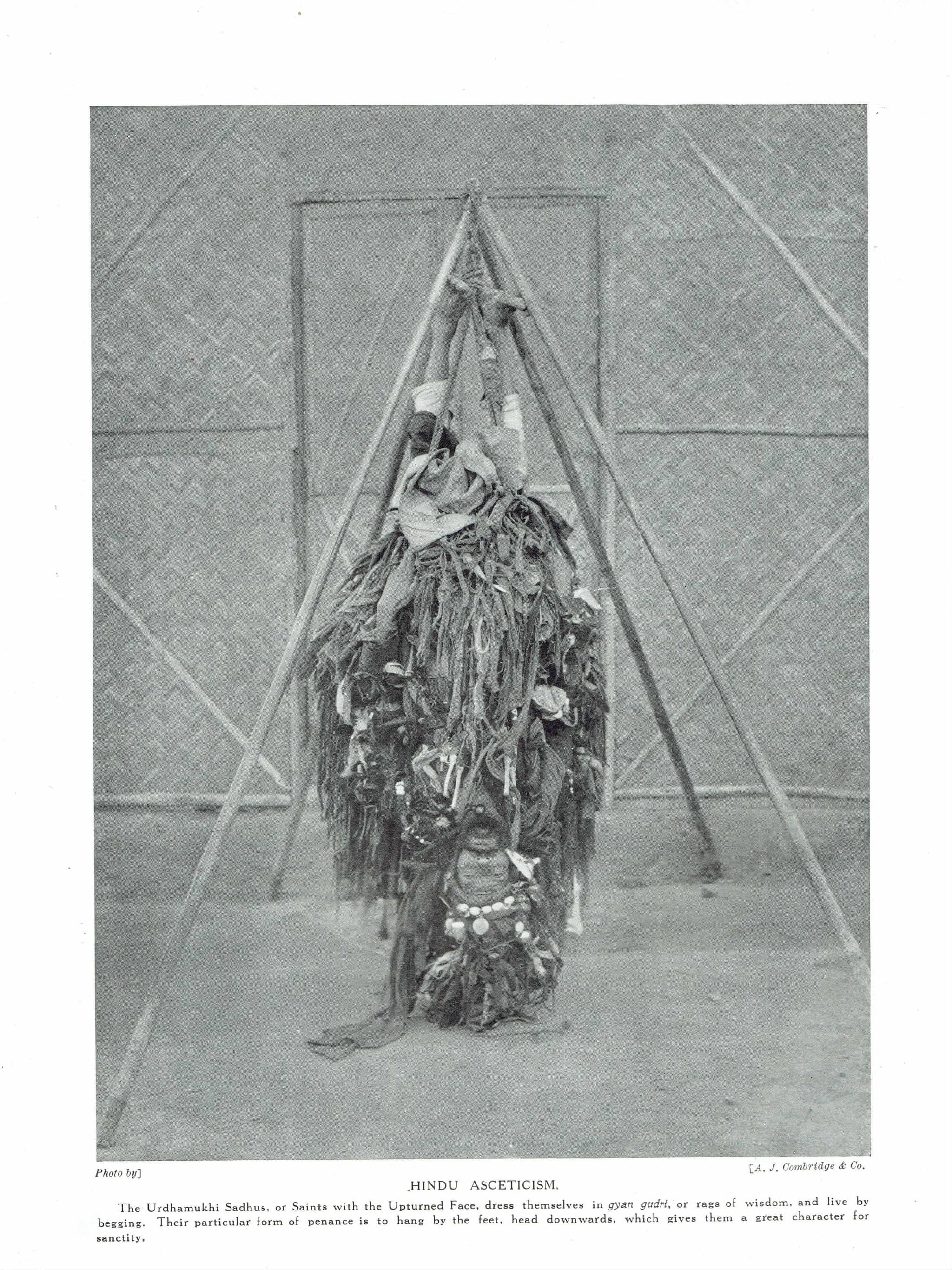 Image 1 copy 1