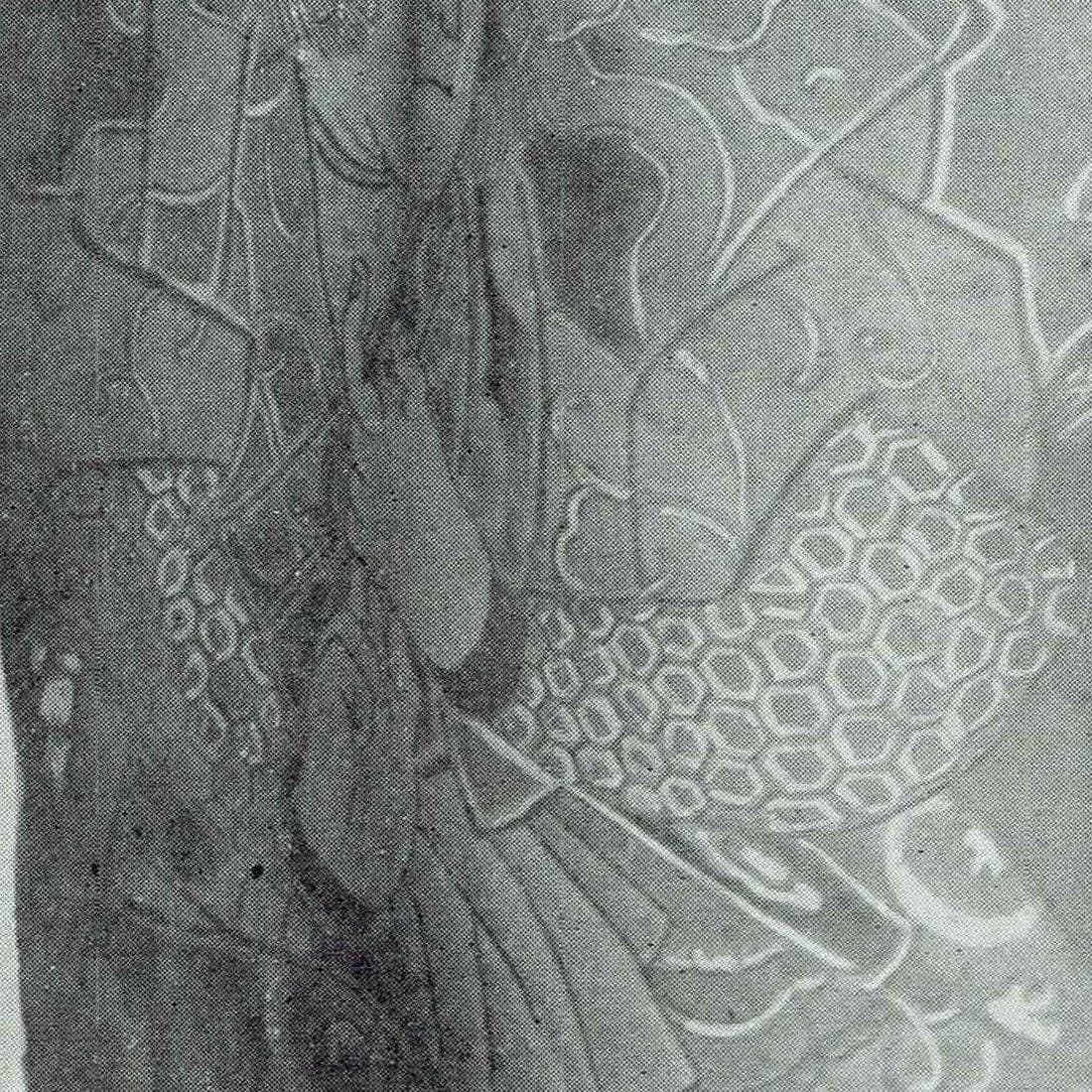 Image 3 copy 1