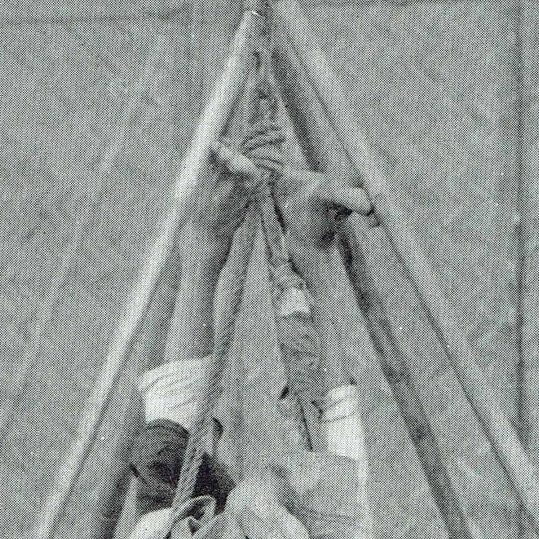 Image 3 copy 1