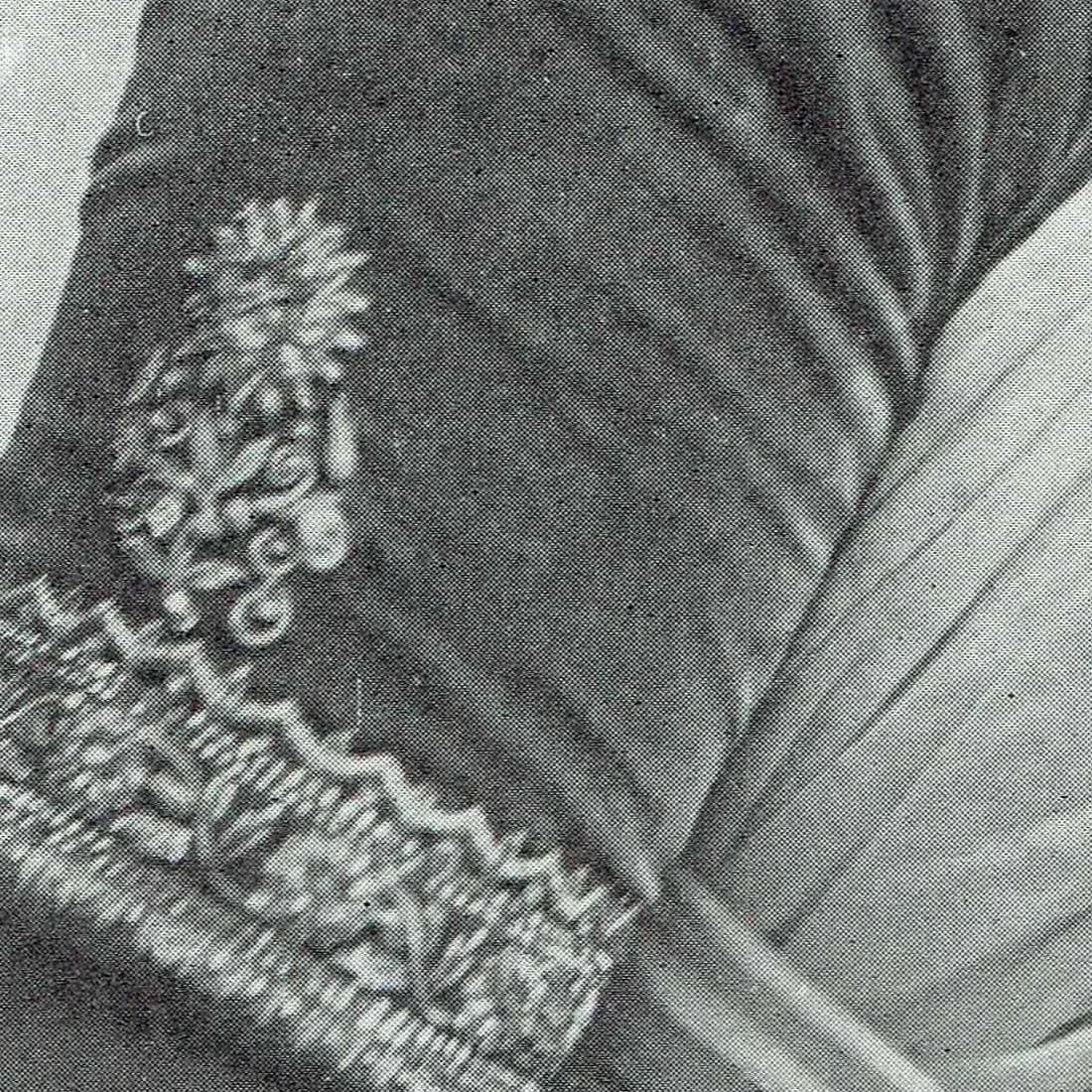 Image 3 copy 1