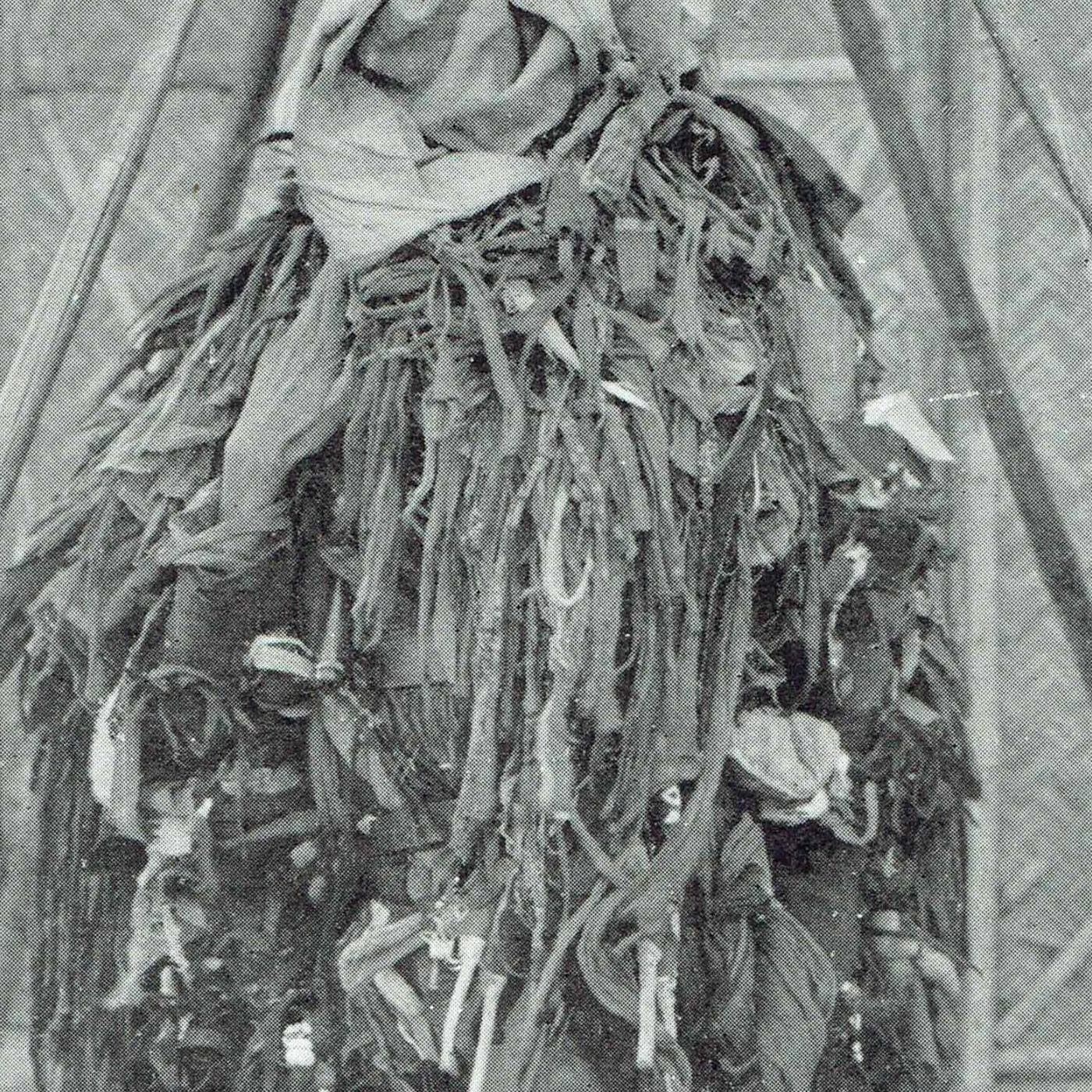 Image 4 copy 1