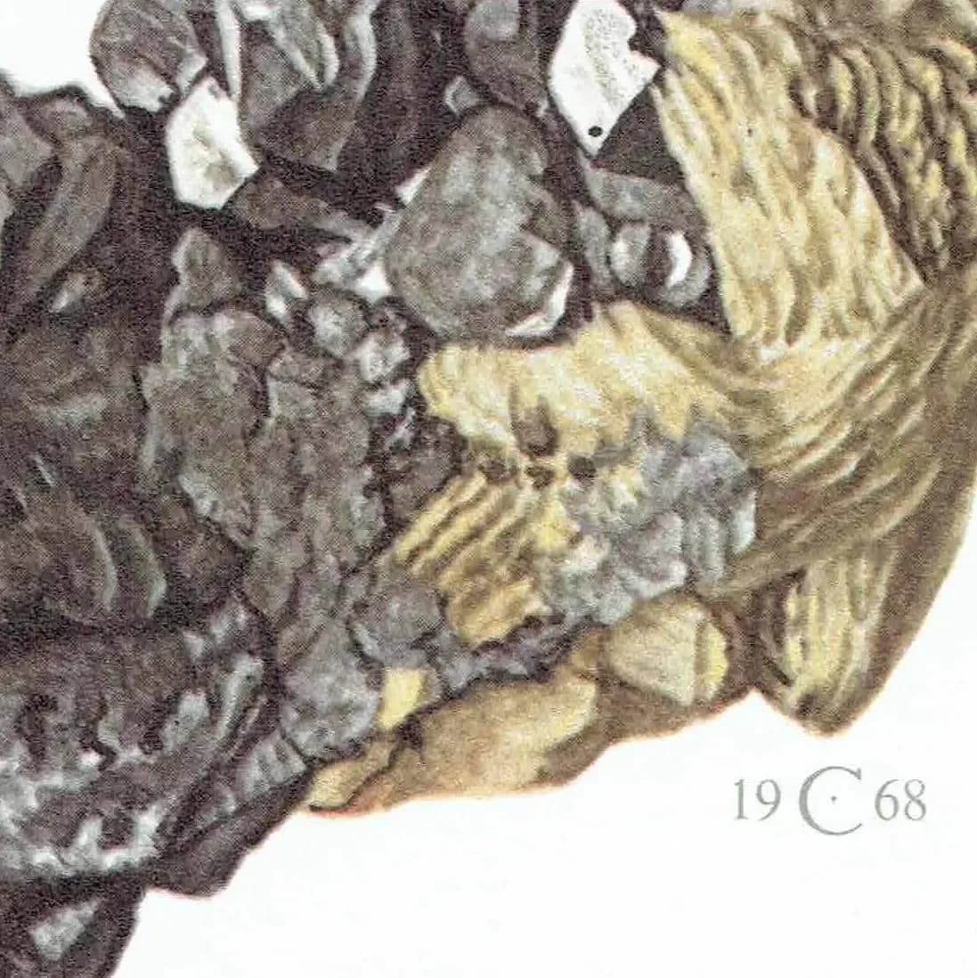 1969 Stephanite Argentite Minerals - Original Vintage Print By Caspari - Scientific Natural History Geology Study - 7.5 x 10.5 in