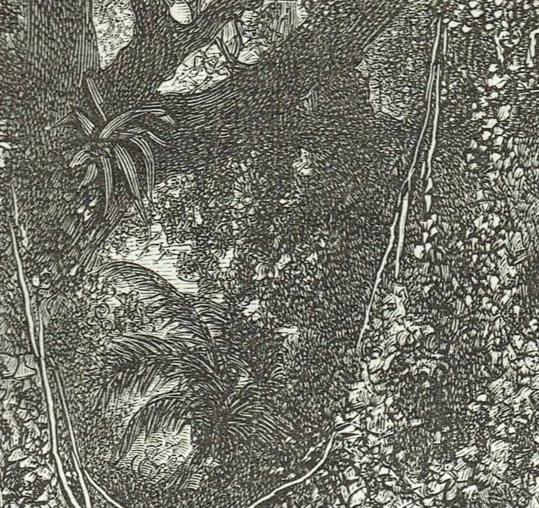 1870s Steamboat Orinoco River Woodblock Original Victorian Print - South American Exploration Print - Historical Travel - 8.5 x 12 in
