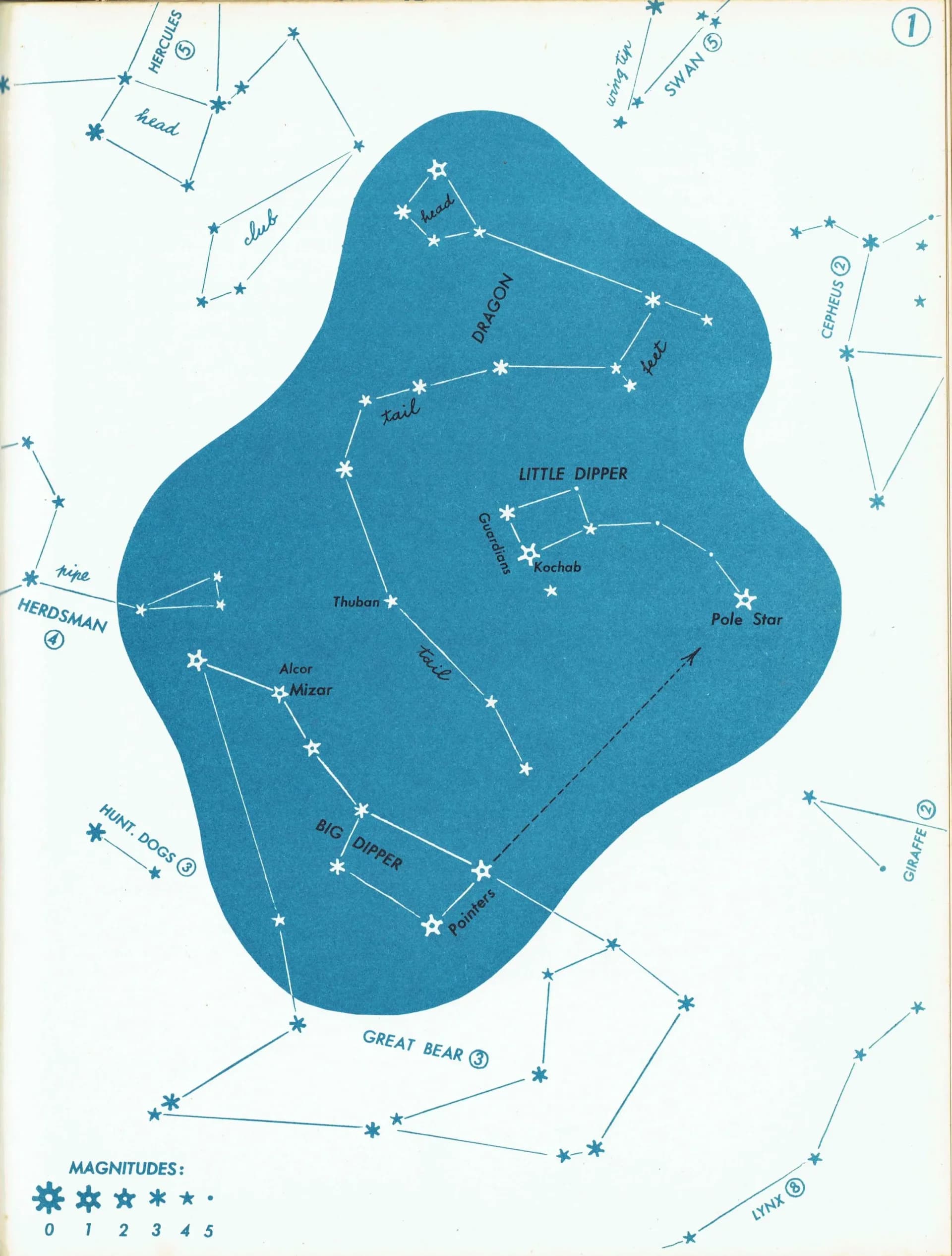 1952 Dragon Big Dipper Little Dipper - Original Vintage Print By H.A. Rey - Celestial Star Chart Constellation Astronomy Map - 8 x 11 in