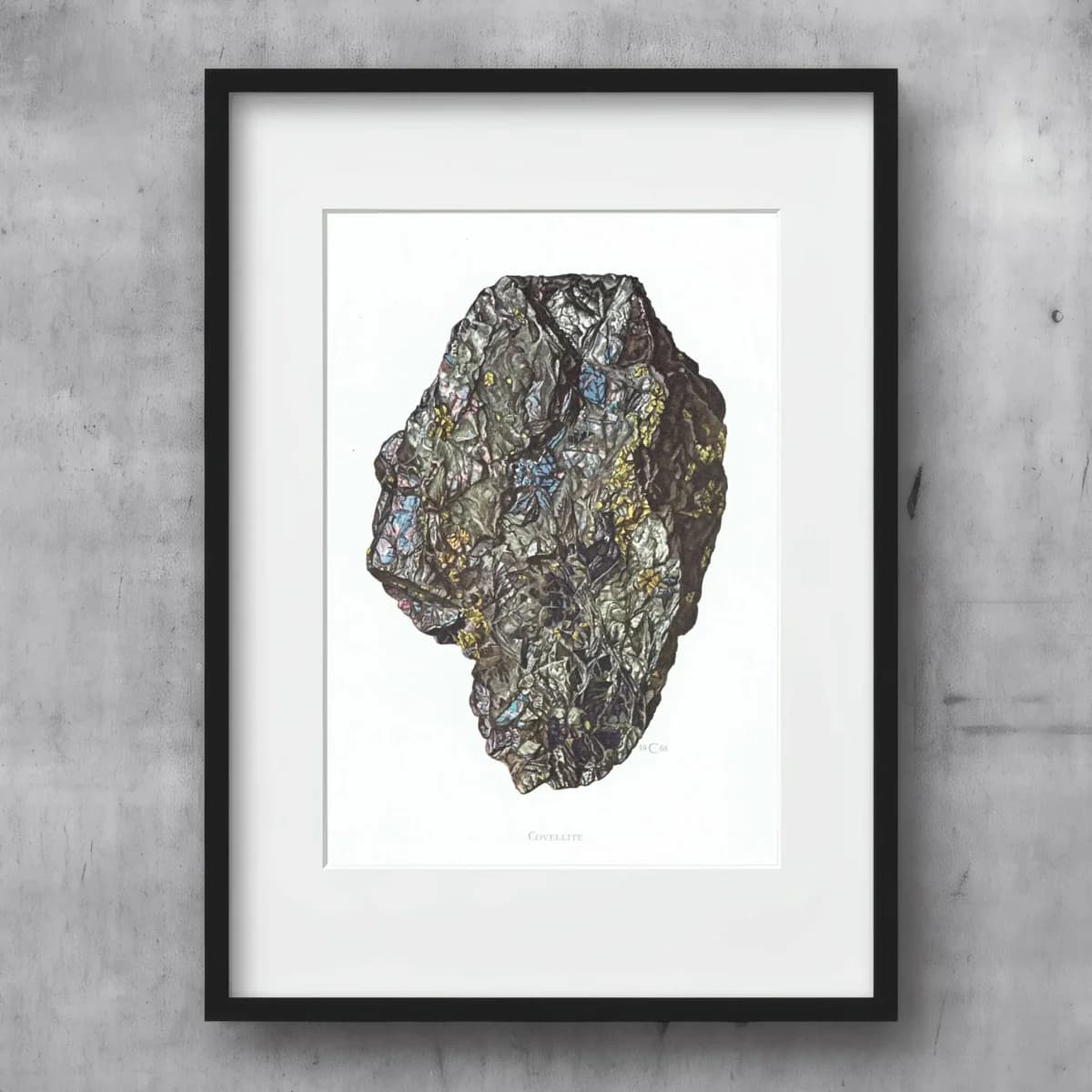 1969 Covellite Mineral - Original Vintage Print By Caspari - Scientific Natural History Geology Study Collection - 7.5 x 10.5 in