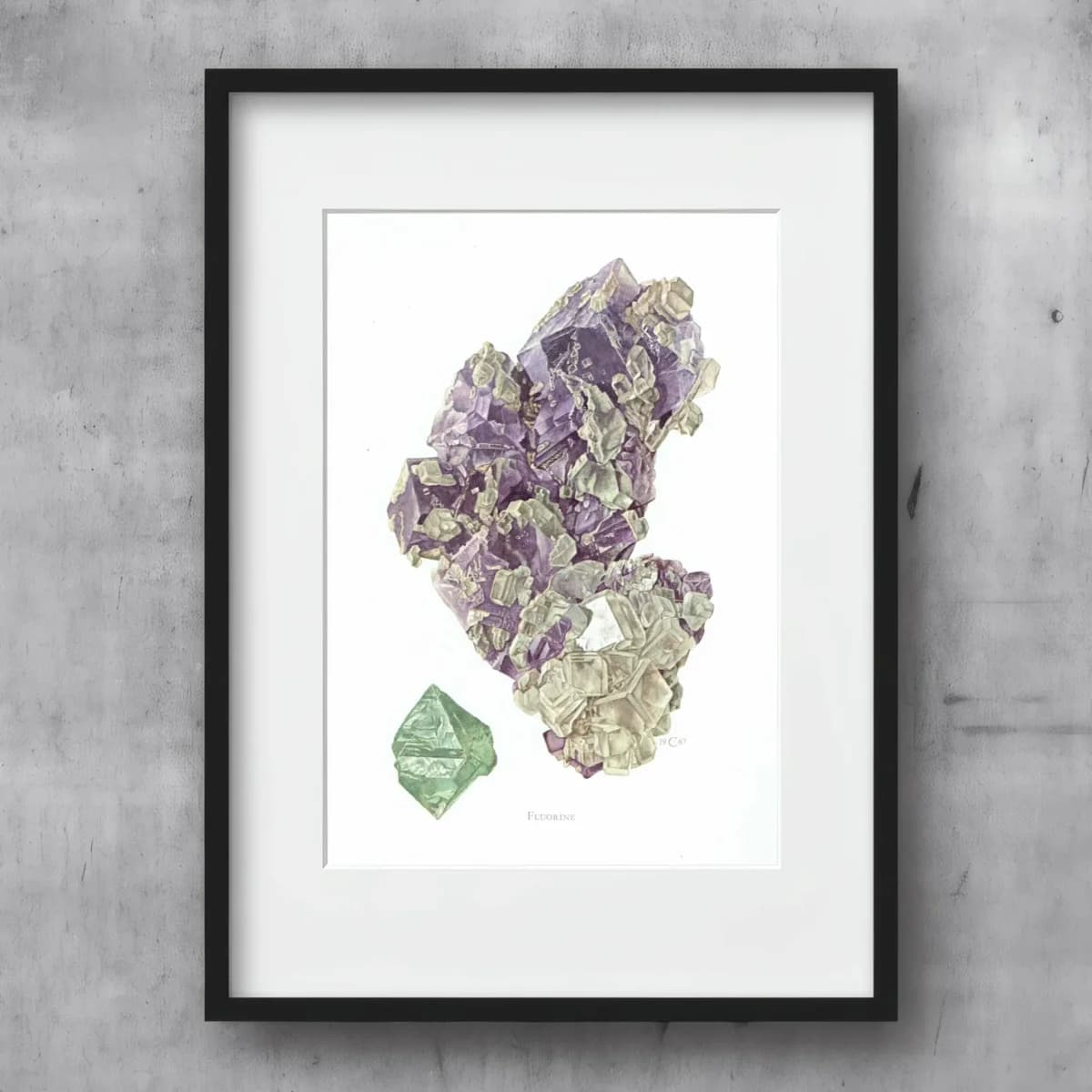 1969 Fluorine Crystal - Original Vintage Print By Caspari - Mineral Study Scientific Natural History Geology Art - 7.5 x 10.5 in