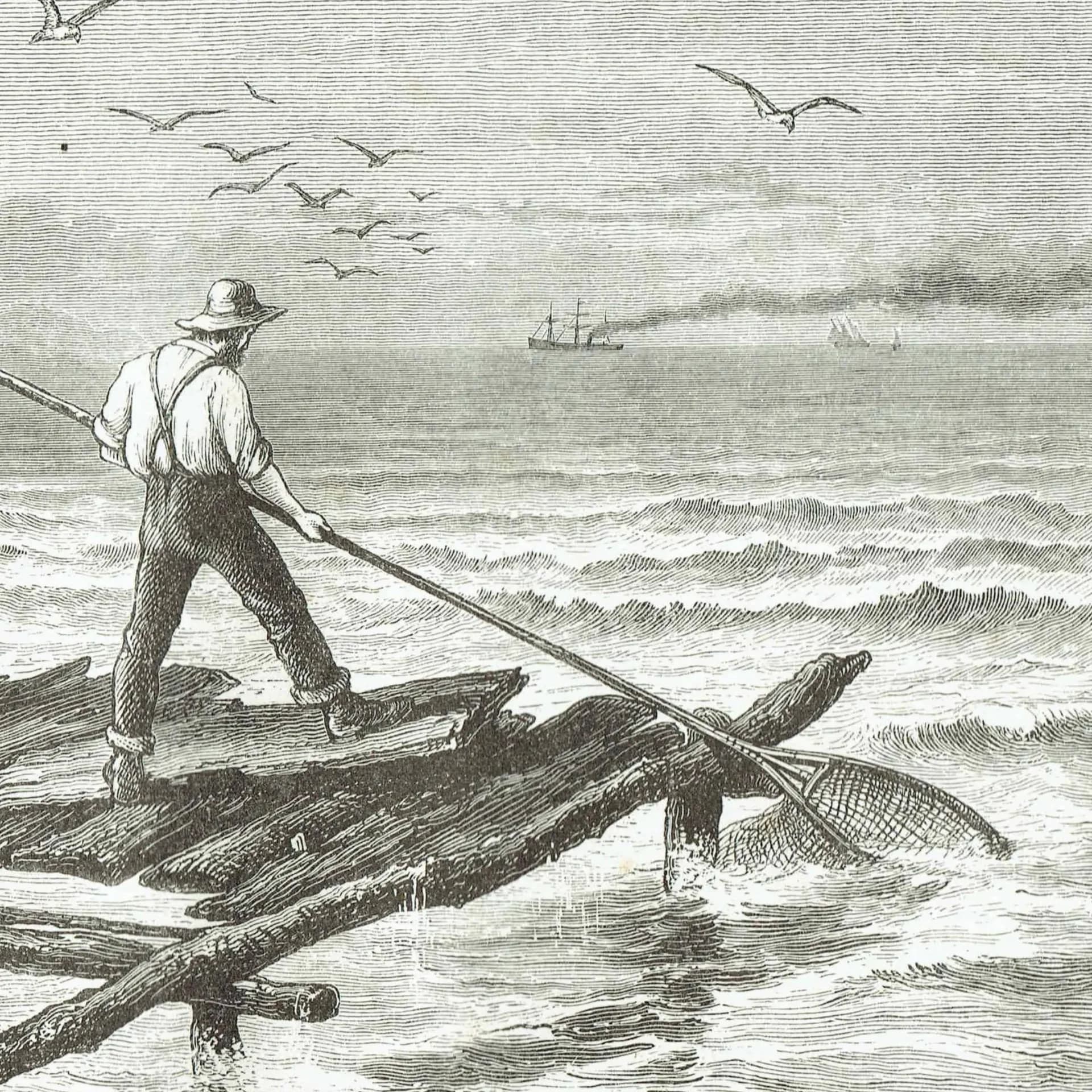 1885 Shad Fishing - Antique Print By Marquis of Lorne - Canadian Fishermen Coastal Scene Historical Engraving - 10 x 7 in
