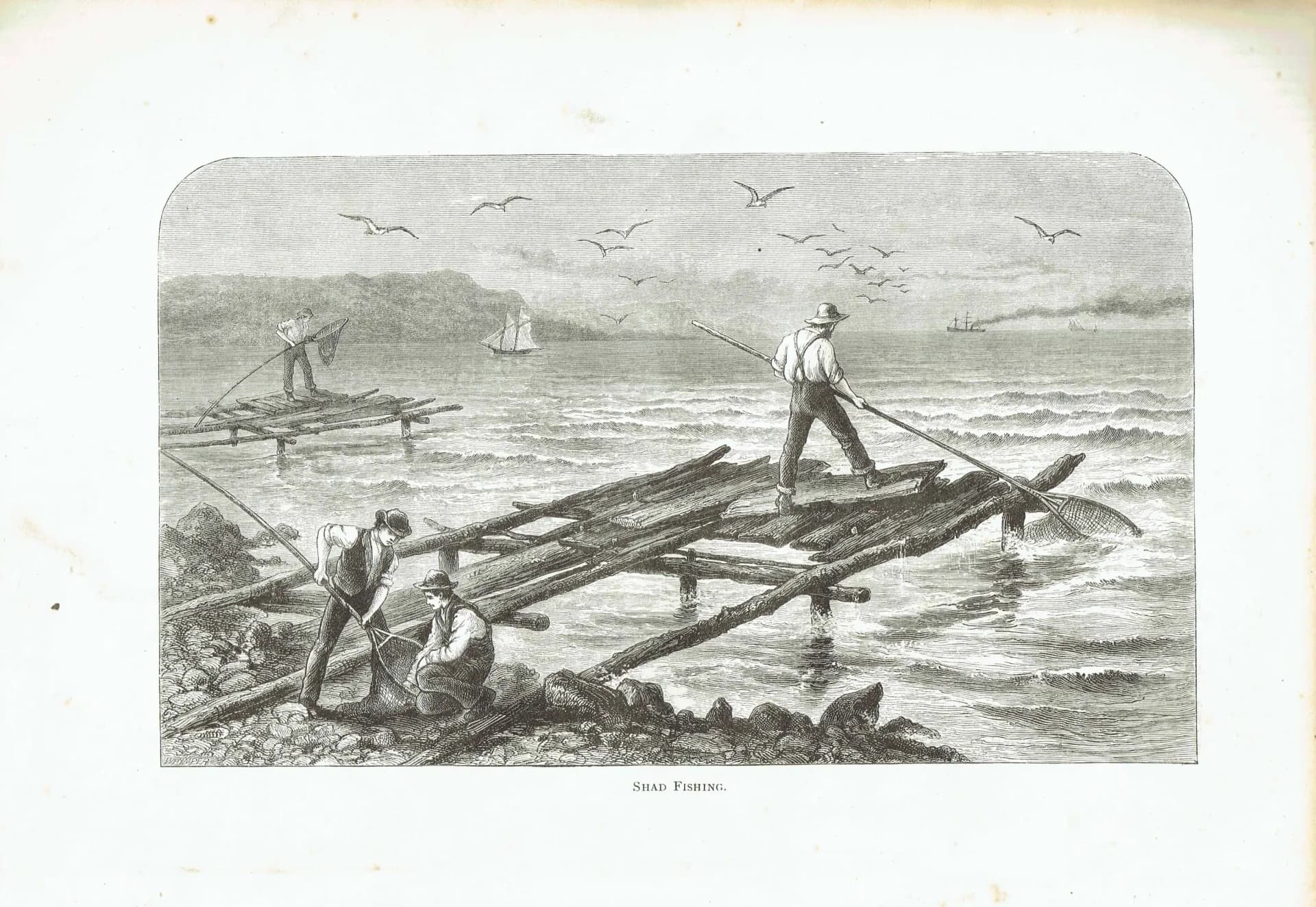 1885 Shad Fishing - Antique Print By Marquis of Lorne - Canadian Fishermen Coastal Scene Historical Engraving - 10 x 7 in