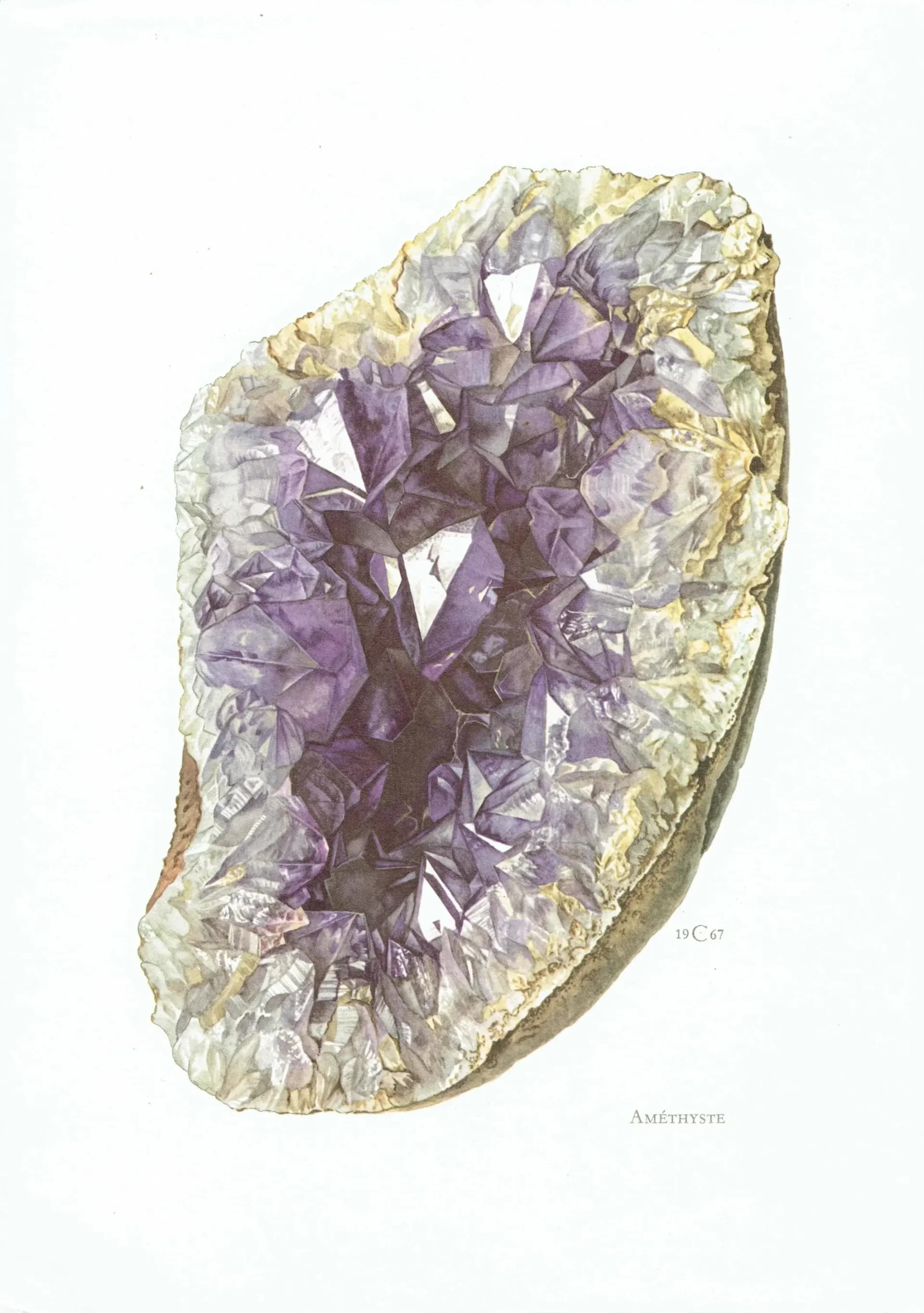 1969 Amethyst Geode - Original Vintage Print By Caspari - Mineral Study Scientific Natural History Geology Art - 7.5 x 10.5 in