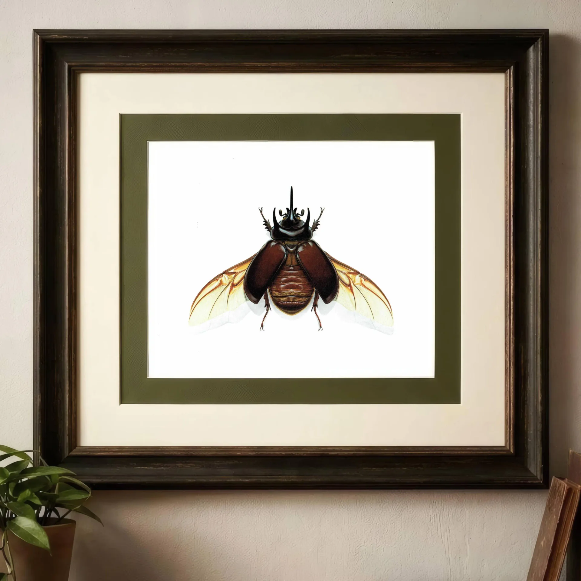 1986 Large Print 11 x 13 in - Three-Horned Dynastid Strategus Jugurtha - Durin Bernard Les Insectes Scientific - Burmeister Entomology