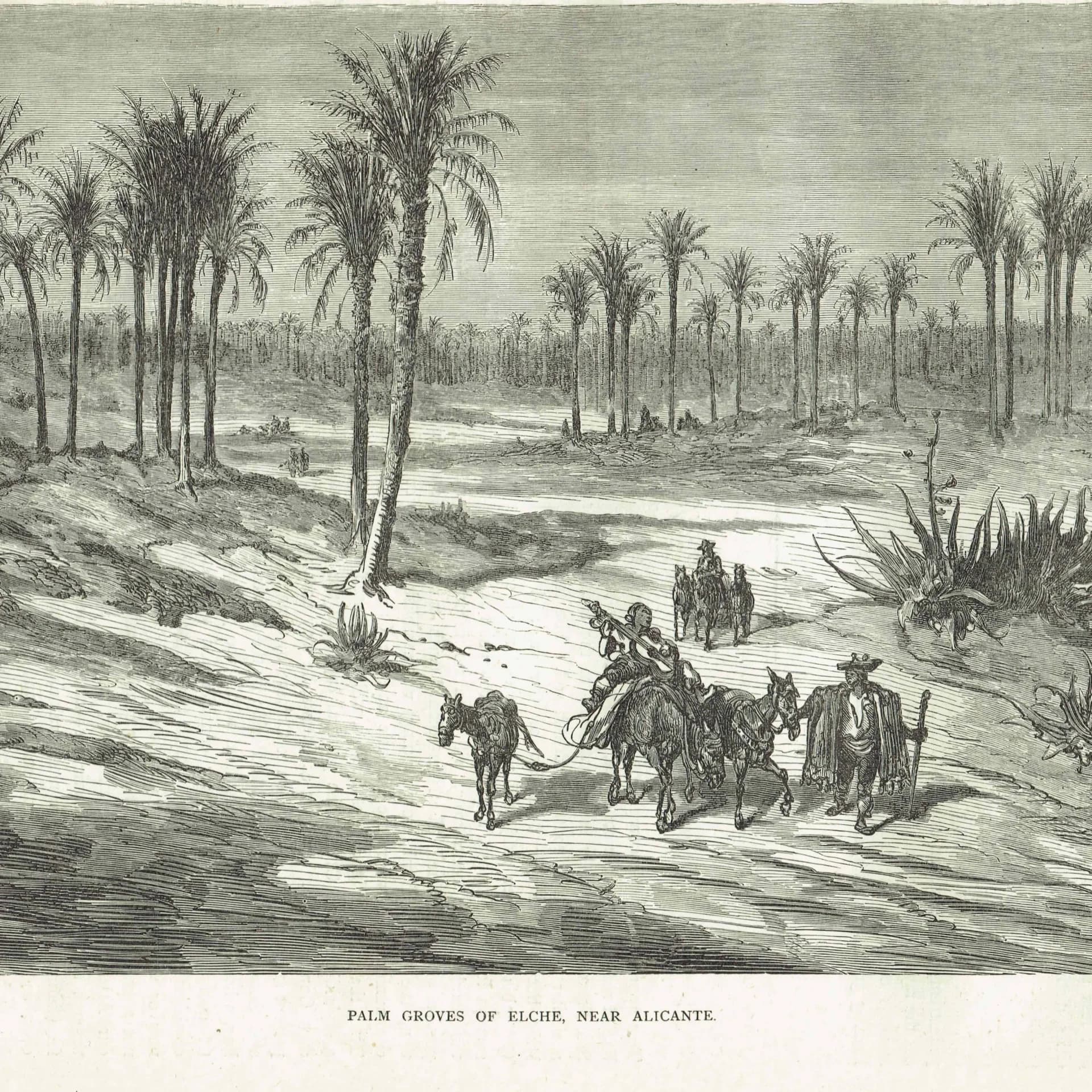 1869 Palm Groves of Elche Near Alicante - Original Antique Print - Spanish Landscape Victorian Travel Geography - 11.75 x 8.75 in