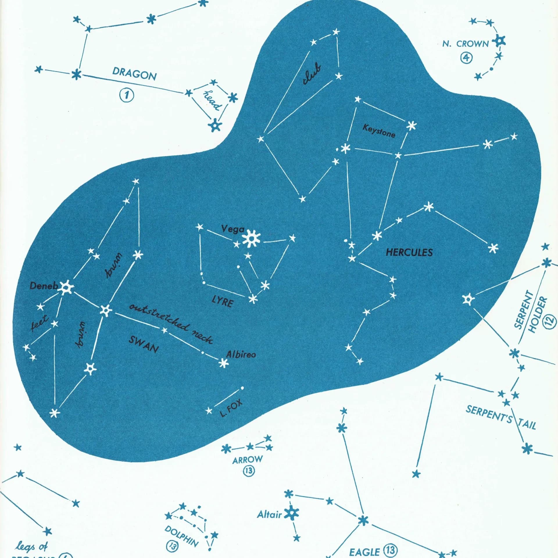 1952 Lyre, Swan Summer Constellations - Original Vintage Print By H.A. Rey - Hercules Lyre Swan Dragon Astronomy Star Chart - 8 x 11 in