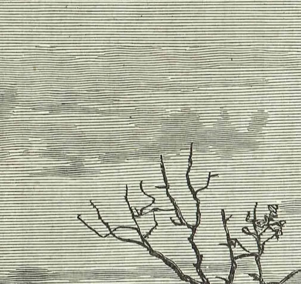 1870s Original Tropical River Gash Landscape - Victorian Travel Book Original Woodblock Print - Nature Print - 12 x 8.5 in