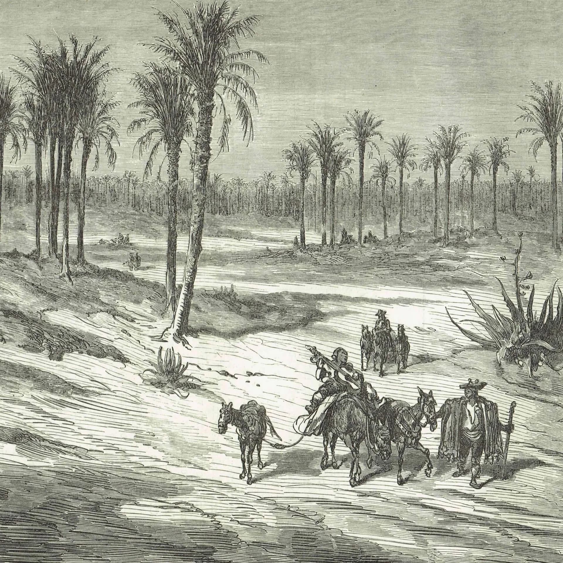 1870s Original Detailed Spanish Palm Grove Landscape Woodblock Print - Victorian Travel Book Drawing - Antique Alicante Scene - 12 x 8.5 in