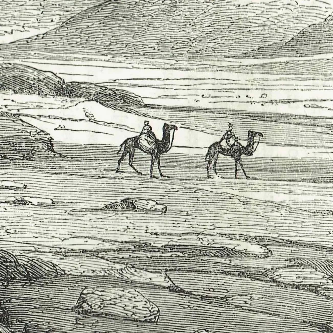 1871 View Near Moilah Red Sea - Antique Engraving - Illustrated Travels Arabia Camel Desert Landscape - 11.5 x 8 in