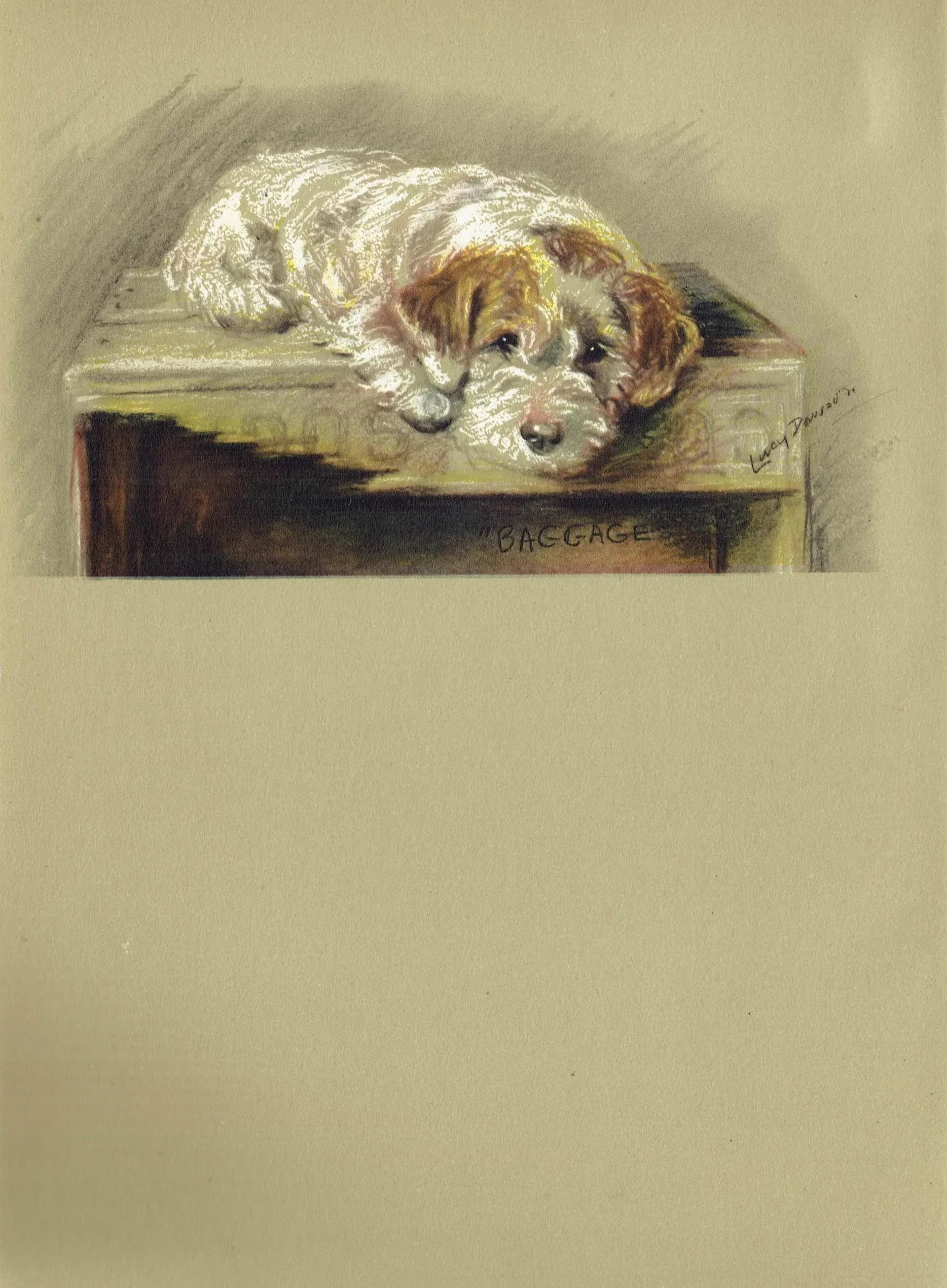 1946 Wire Fox Terrier 'Baggage' - Original Vintage Print By Dawson - Dog Portrait Pet Art Neighbours Lucy - 7 x 9.5 in
