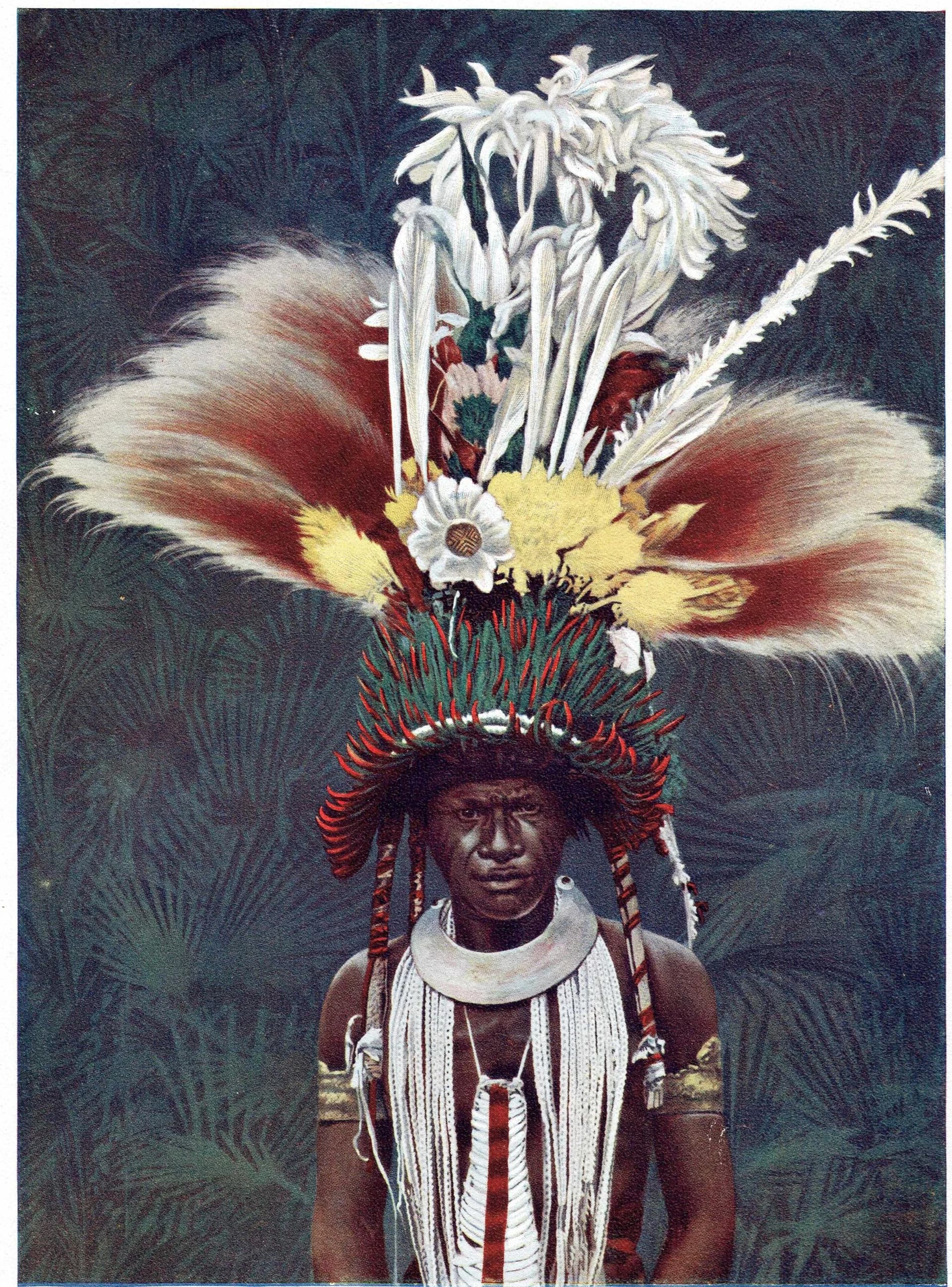 7.5 x 10 in — “Roro Chief Ceremonial Dress” — Print — 1913 — Book Illustration