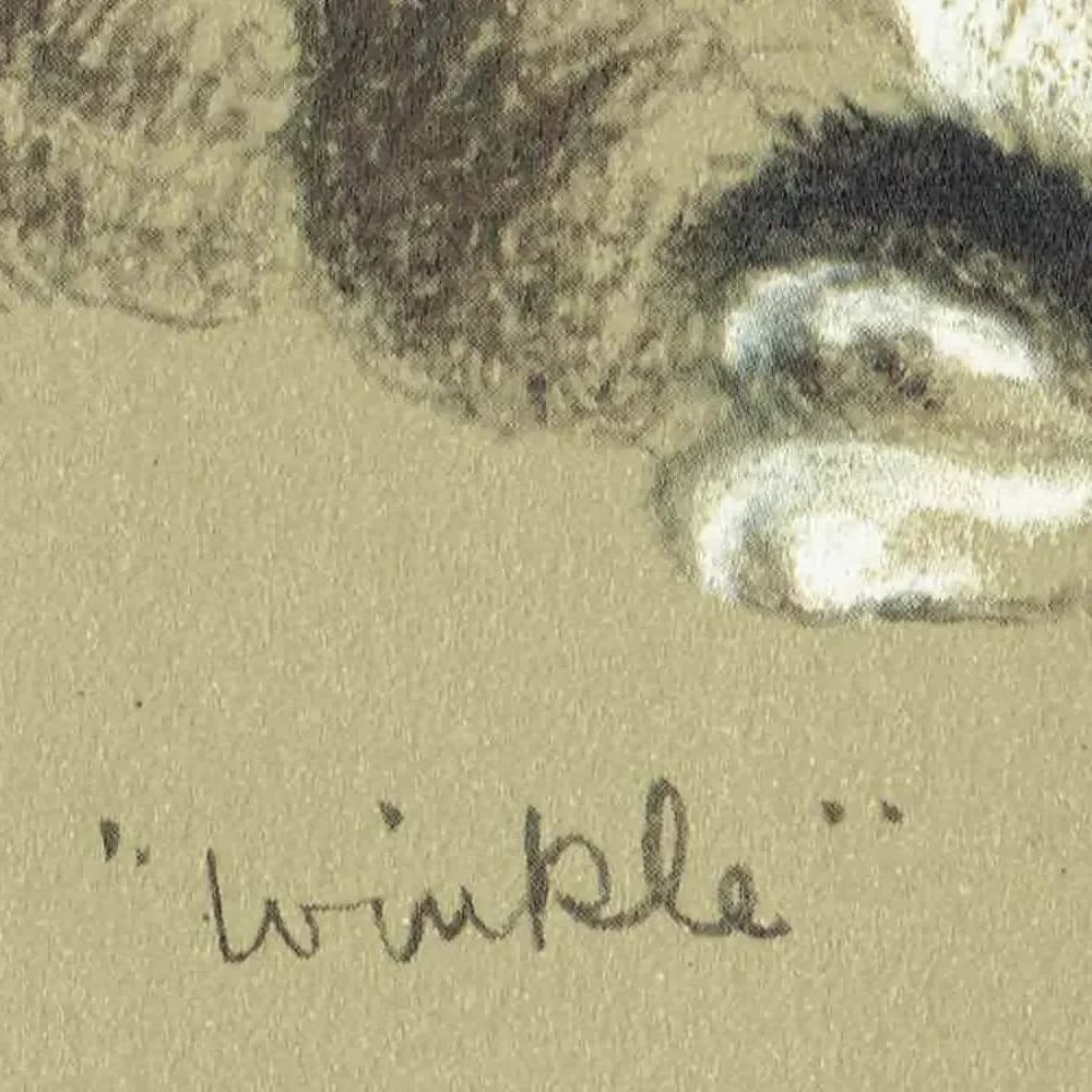 1946 Sleeping Cat "Winkle" - Original Vintage Print - Lucy Dawson Neighbours Pet Portrait Animal Art - 7 x 9.5 in