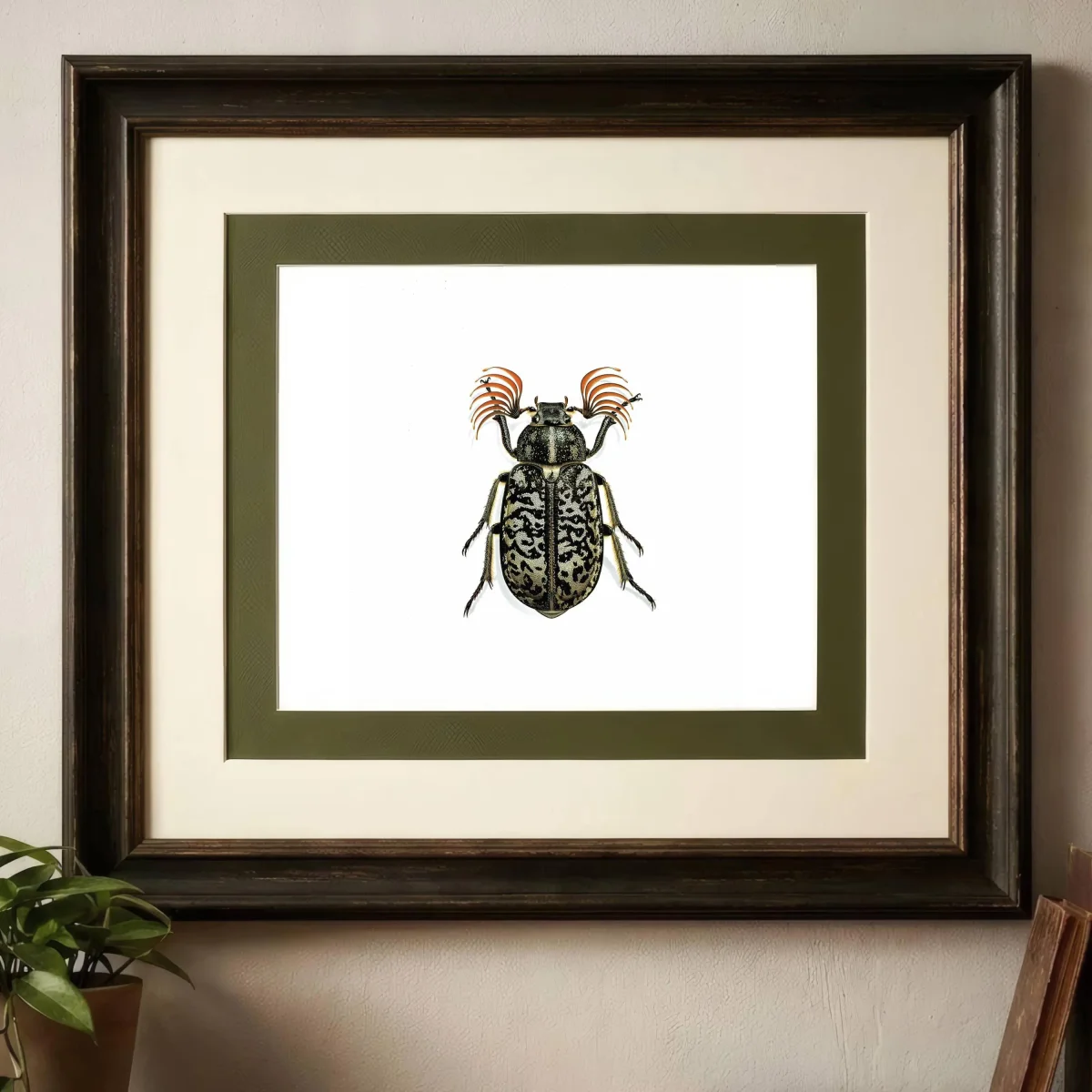 1986 Tanner Beetle Polyphylla Fullo Print - Durin Bernard Scientific Illustration- Linnaeus Entomology - 11 x 13 in