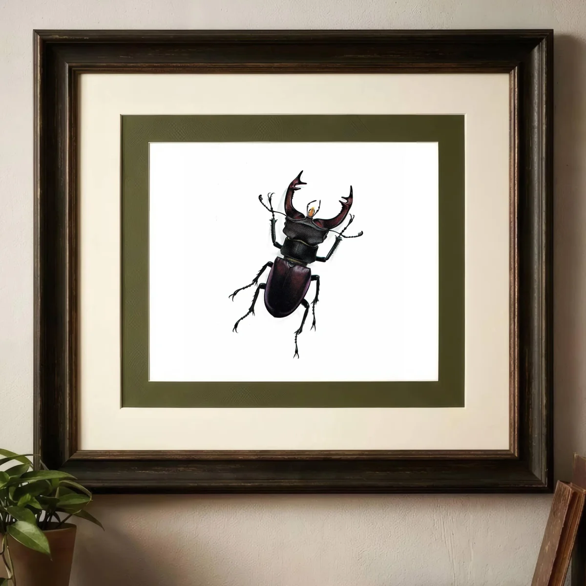 1986 Stag Beetle Lucanus Cervus Print – Bernard Durin Les Insectes Vintage Scientific Illustration – Linnaeus Entomology Art – 11 x 13 in