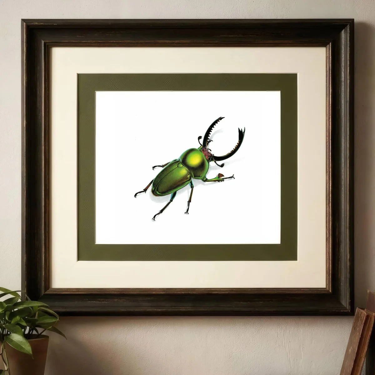 1986 Green Jewel Sawtooth Stag Beetle Neolamprima Adolphinae Print - Durin Bernard Les Insectes - Gerstaeker Entomology Drawing - 11 x 13 in