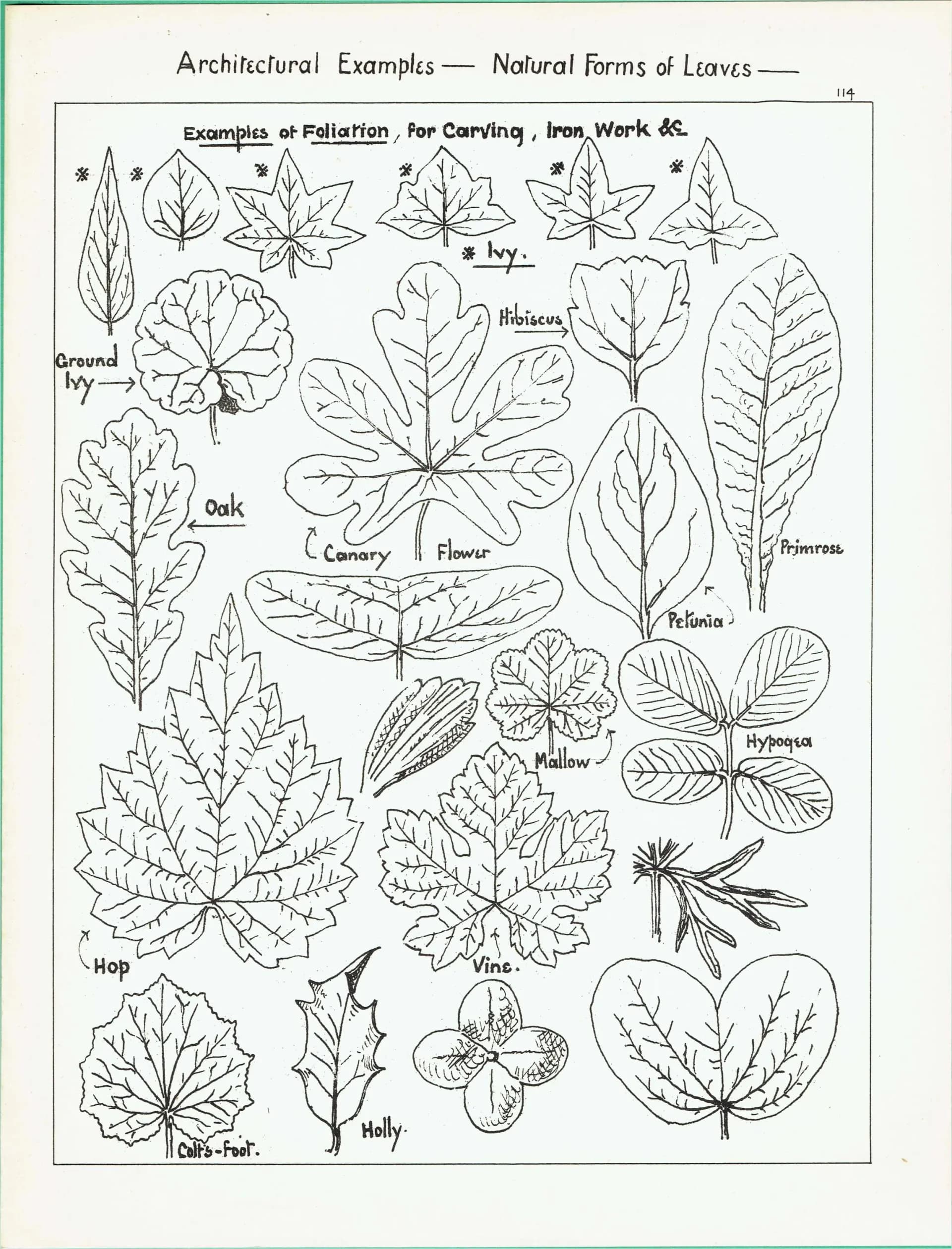 1898 Architectural Leaf Studies Print - Ivy, Oak, Holly, Mallow, Vine & Decorative Botanical Motifs - Antique Design Plate - 8 x 10.75 in