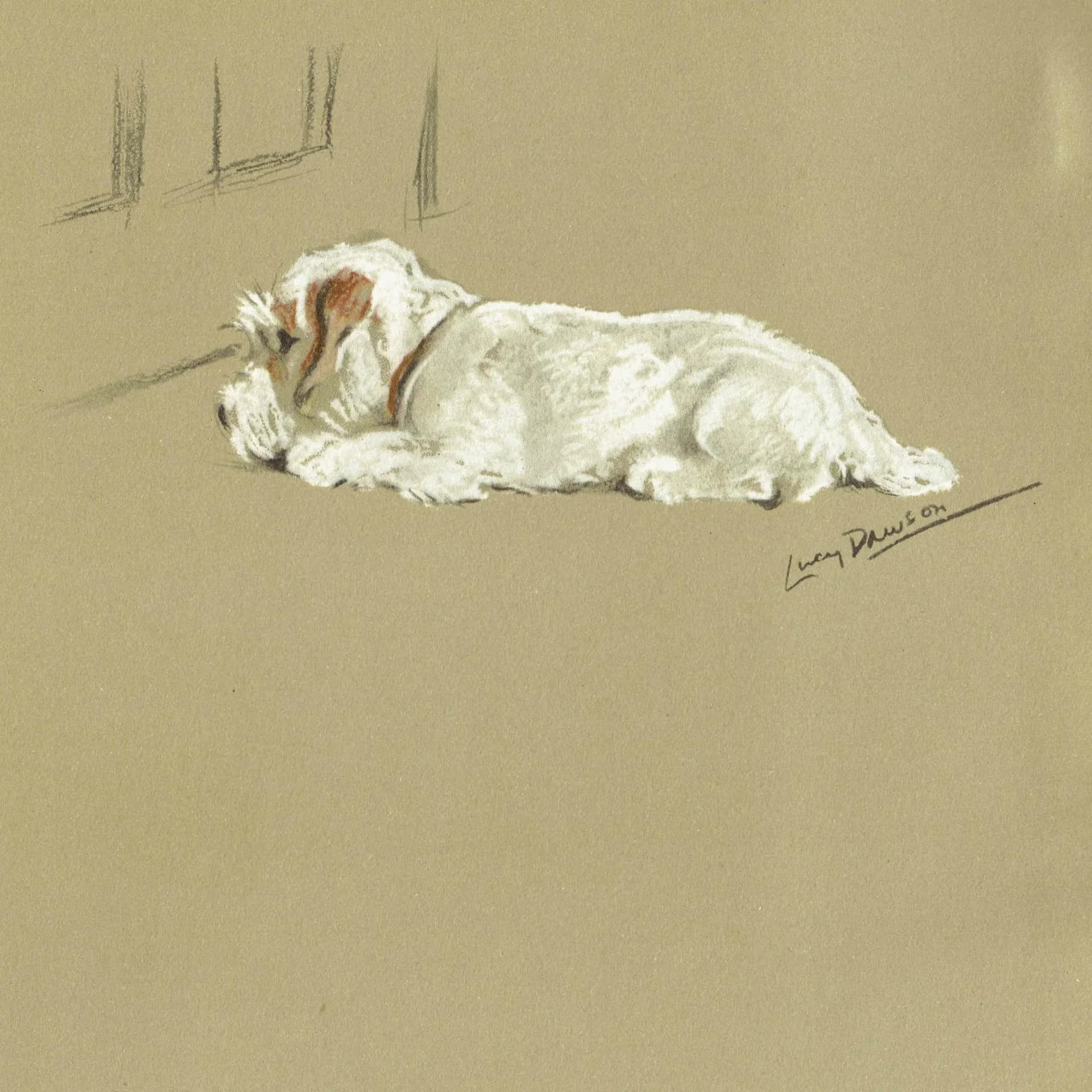 1946 Sleeping Clumber Spaniel - Original Vintage Print By Dawson - Lucy Dawson Neighbours Dog Portrait Pet Art - 7 x 9.5 in