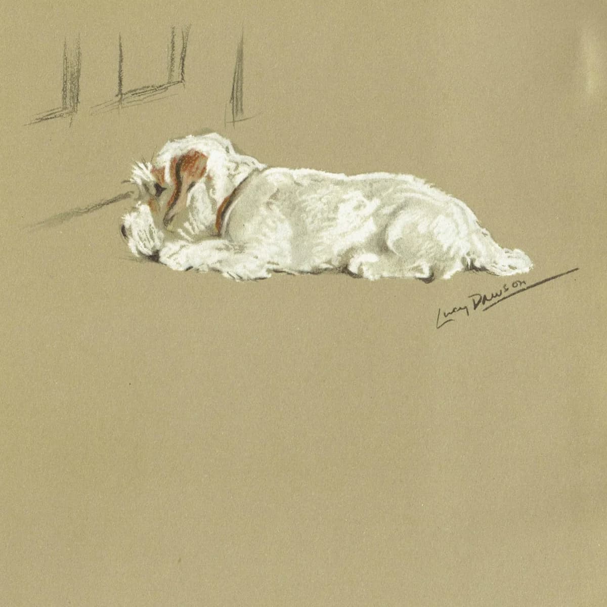 1946 Sleeping Clumber Spaniel - Original Vintage Print By Dawson - Lucy Dawson Neighbours Dog Portrait Pet Art - 7 x 9.5 in