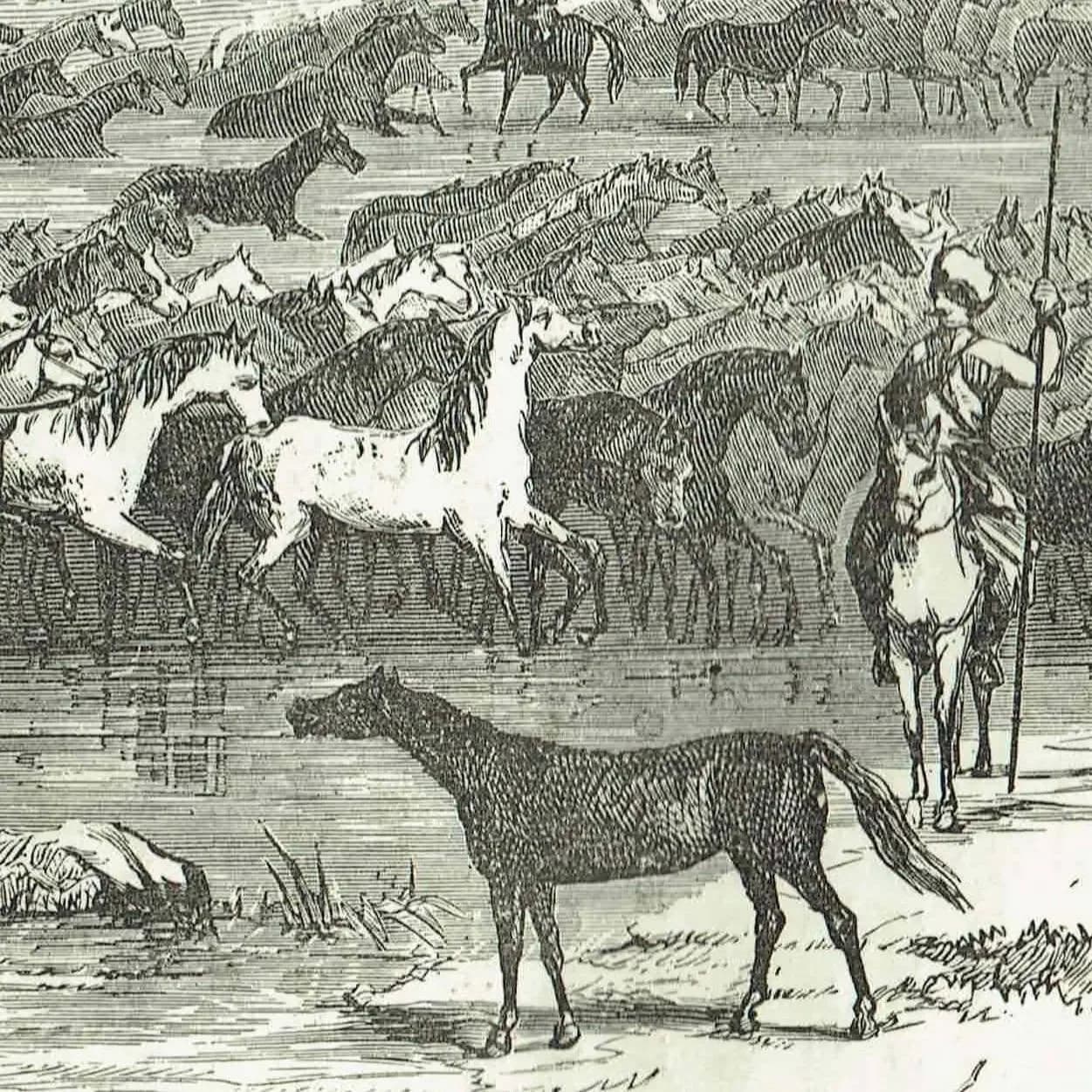 1871 Horses Crossing the Volga - Antique Engraving By Bates - Russian River Landscape Victorian Travel Scene - 11.5 x 8 in