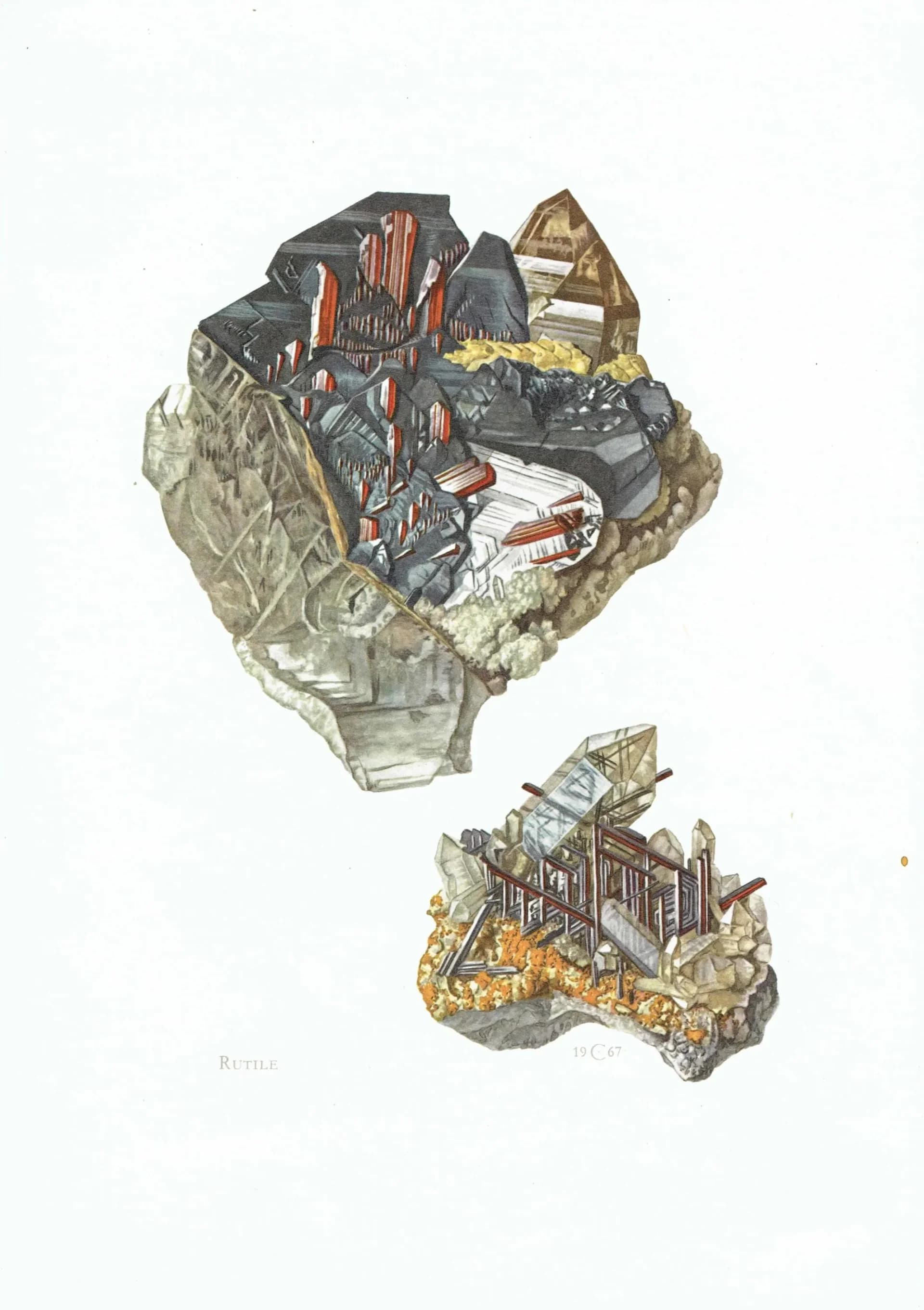 1969 Rutile Crystal - Original Vintage Print By Caspari - Mineral Study Scientific Natural History Geology Art - 7.5 x 10.5 in