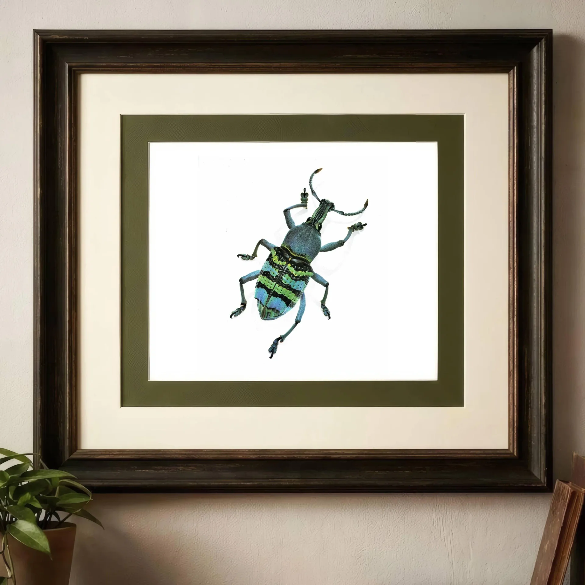 1986 Magnificent Weevil Eupholus Magnificus Print - Durin Bernard Les Insectes Science Illustration - Kirch Entomology - 11 x 13 in