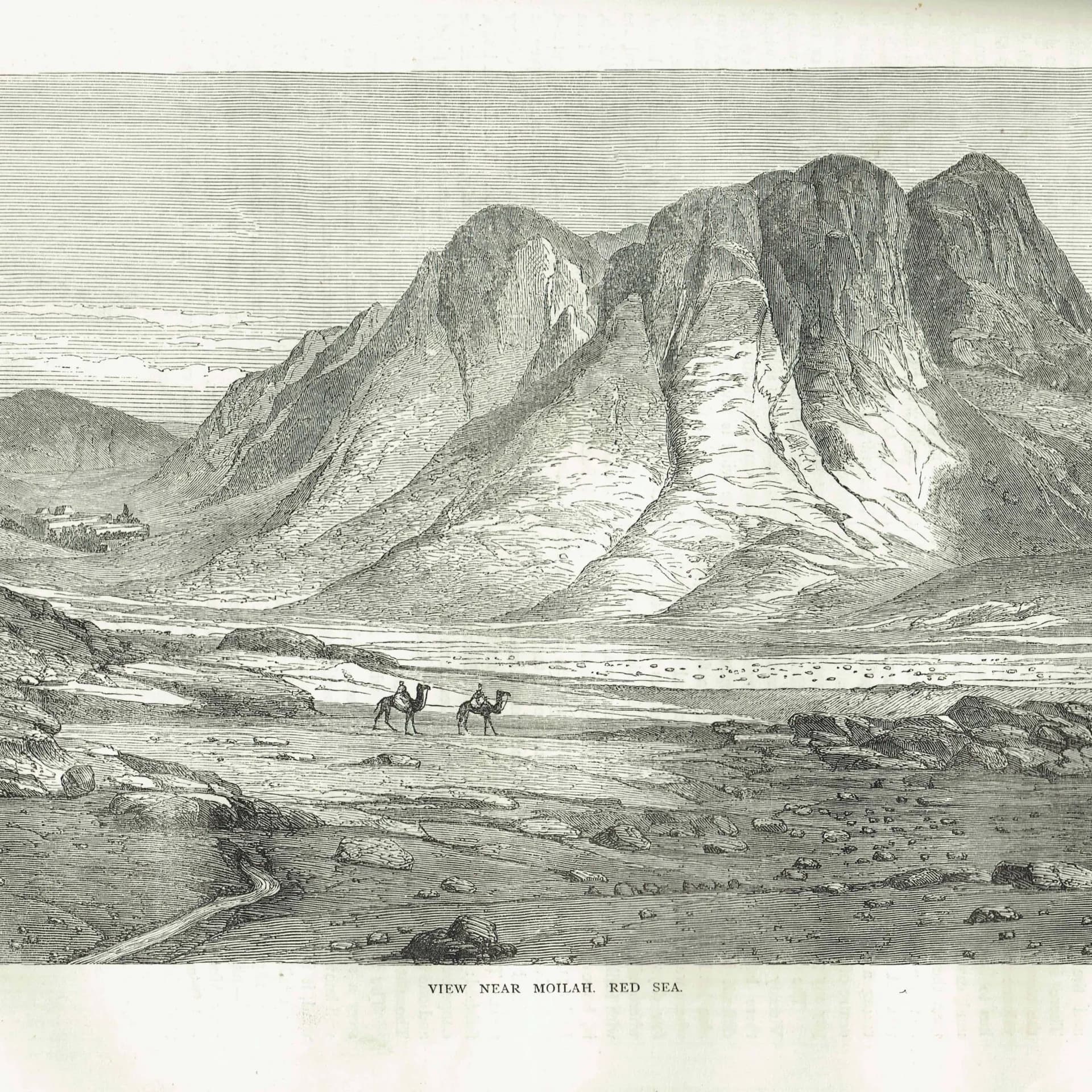 1871 View Near Moilah Red Sea - Antique Engraving - Illustrated Travels Arabia Camel Desert Landscape - 11.5 x 8 in