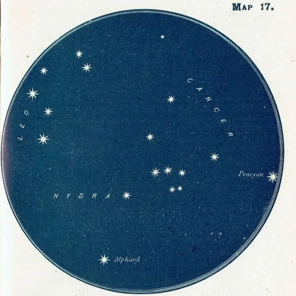 1944 Leo Cancer Hydra Procyon Alphard Zodiac Star Chart Atlas Constellation - Original Vintage Print By Gall - Map 17 - 4 x 6 in