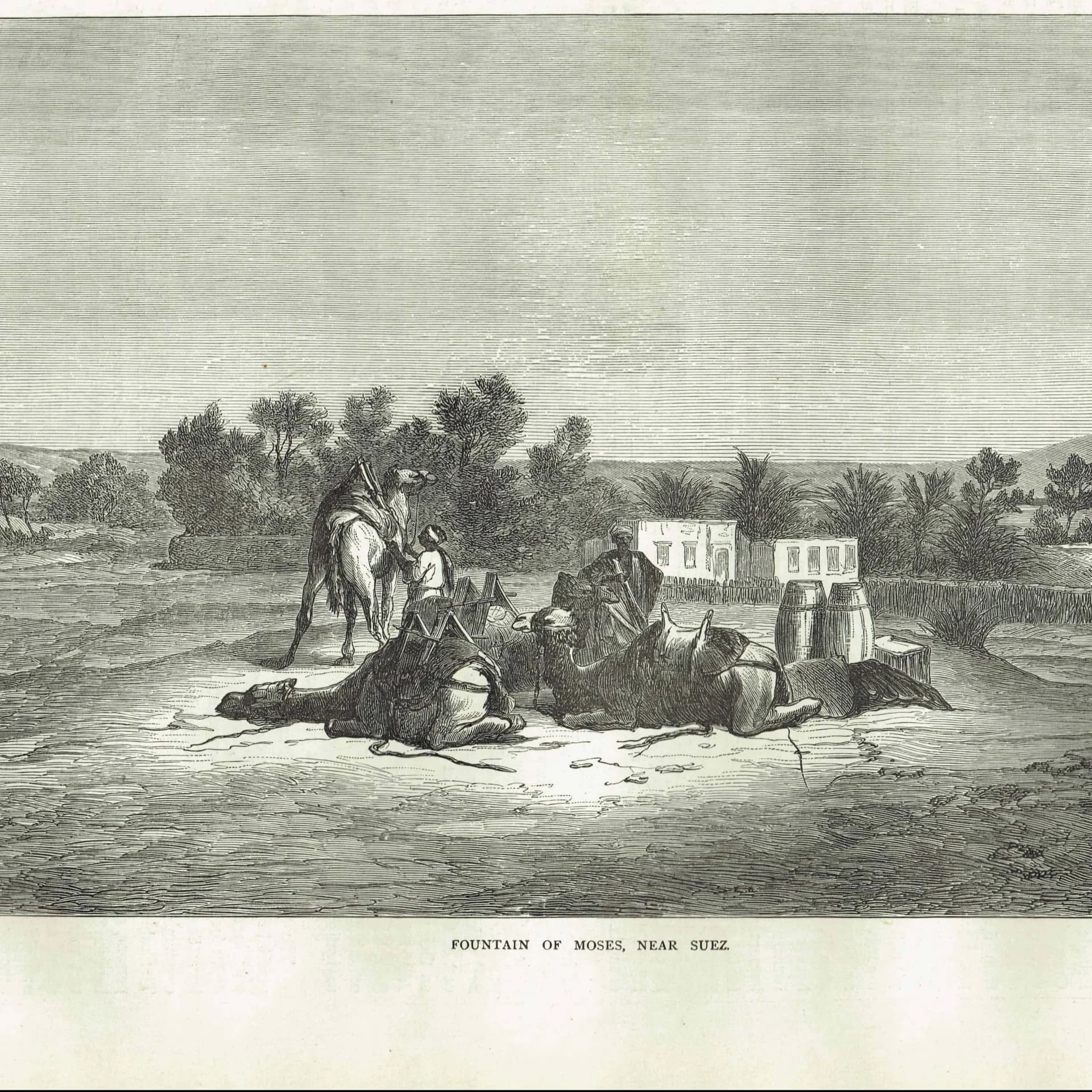 1871 Fountain of Moses Near Suez - Antique Engraving - Illustrated Travels Egypt Camel Desert Scene - 11.5 x 8 in