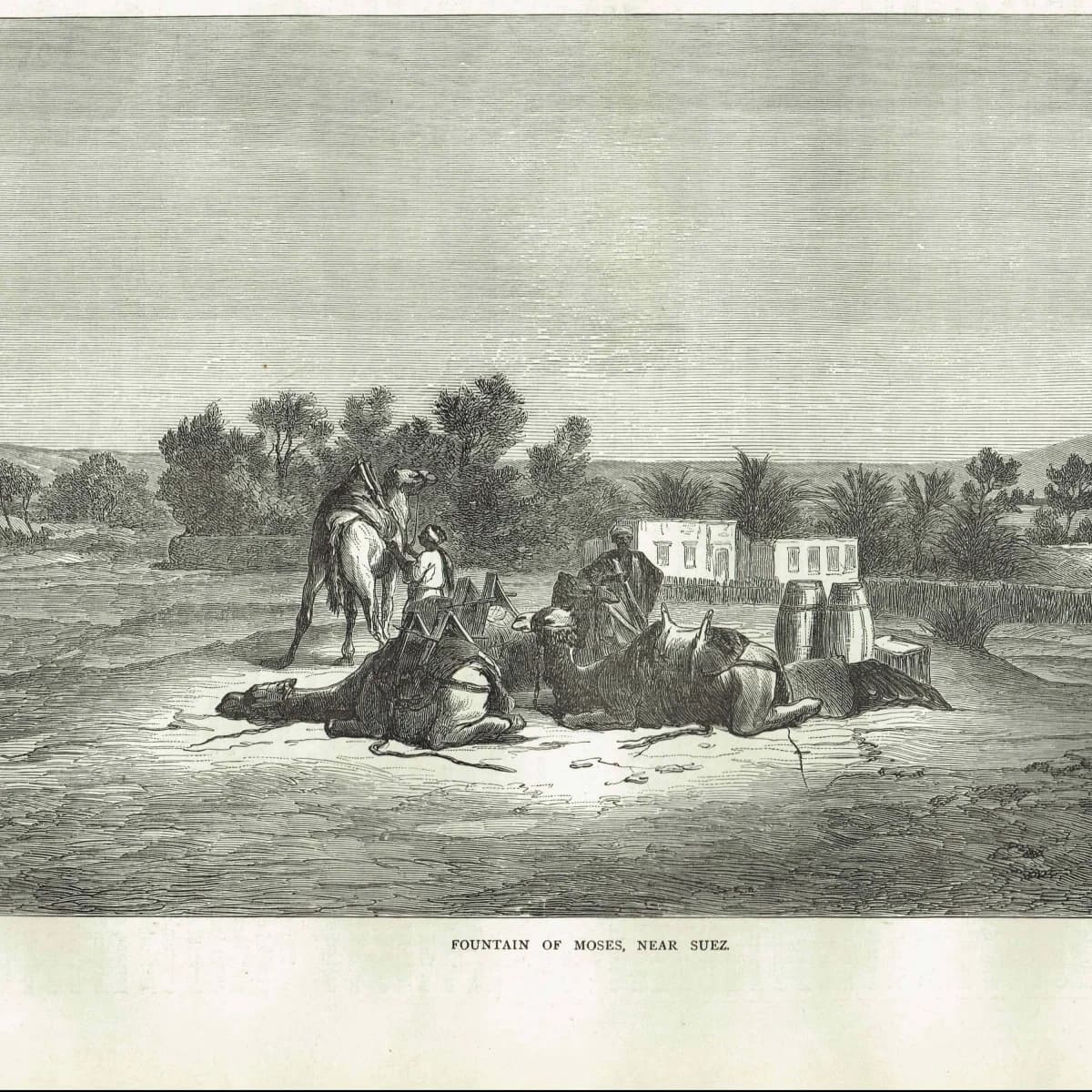 1871 Fountain of Moses Near Suez - Antique Engraving - Illustrated Travels Egypt Camel Desert Scene - 11.5 x 8 in