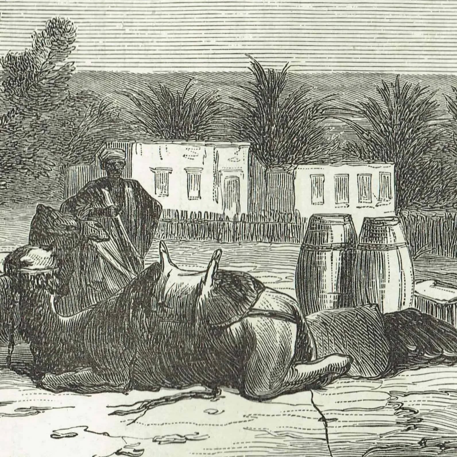 1871 Fountain of Moses Near Suez - Antique Engraving - Illustrated Travels Egypt Camel Desert Scene - 11.5 x 8 in