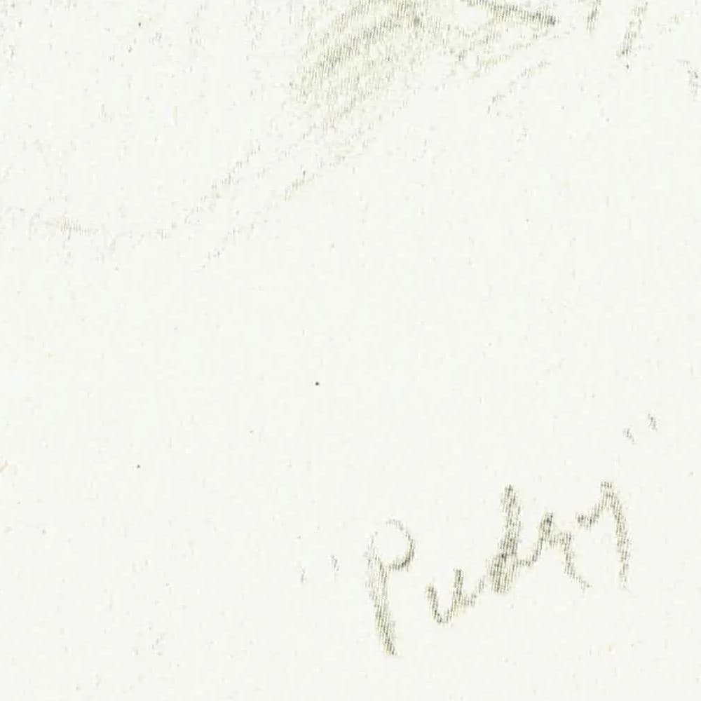 1946 Fluffy Cat Portrait 'Pudsy' - Original Vintage Print By Dawson - Pet Animal Study Neighbours Book Illustration - 7 x 9.5 in