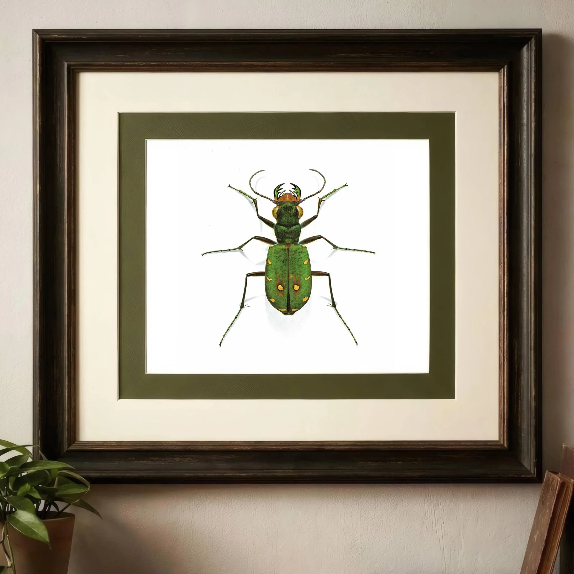 1986 Cicindela Campestris Field Tiger Beetle - Durin Bernard Scientific Illustration - Linnaeus Entomology - 11 x 13 in