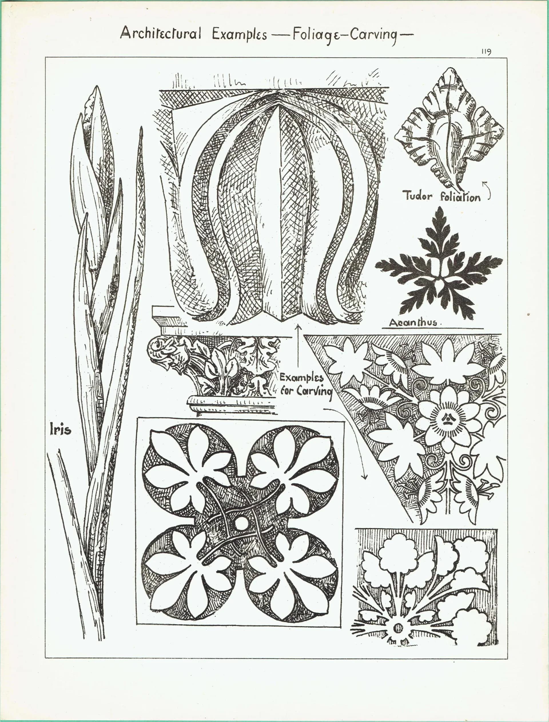 1898 Foliage Carving Architecture Print - Tudor Foliation, Acanthus & Iris Motifs - Antique Decorative Design Plate - 8 x 10.75 in