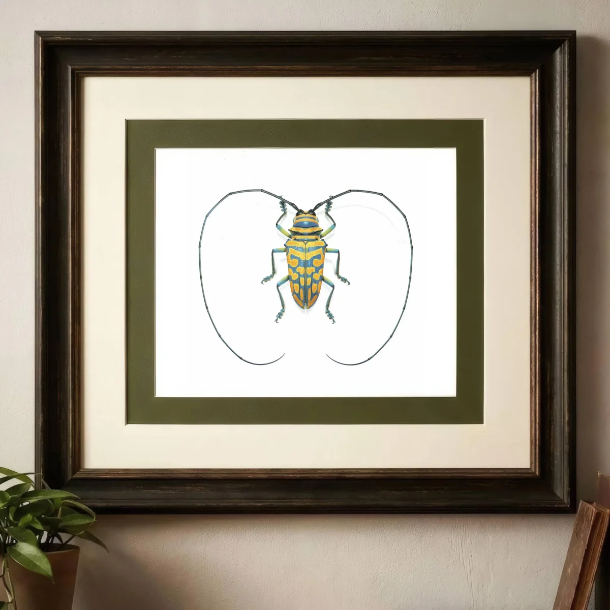 1986 Jewel Longhorn Beetle Sternotomis Bohemani Print - Durin Bernard Les Insectes Scientific Picture - Chevrolat Entomology - 11 x 13 in