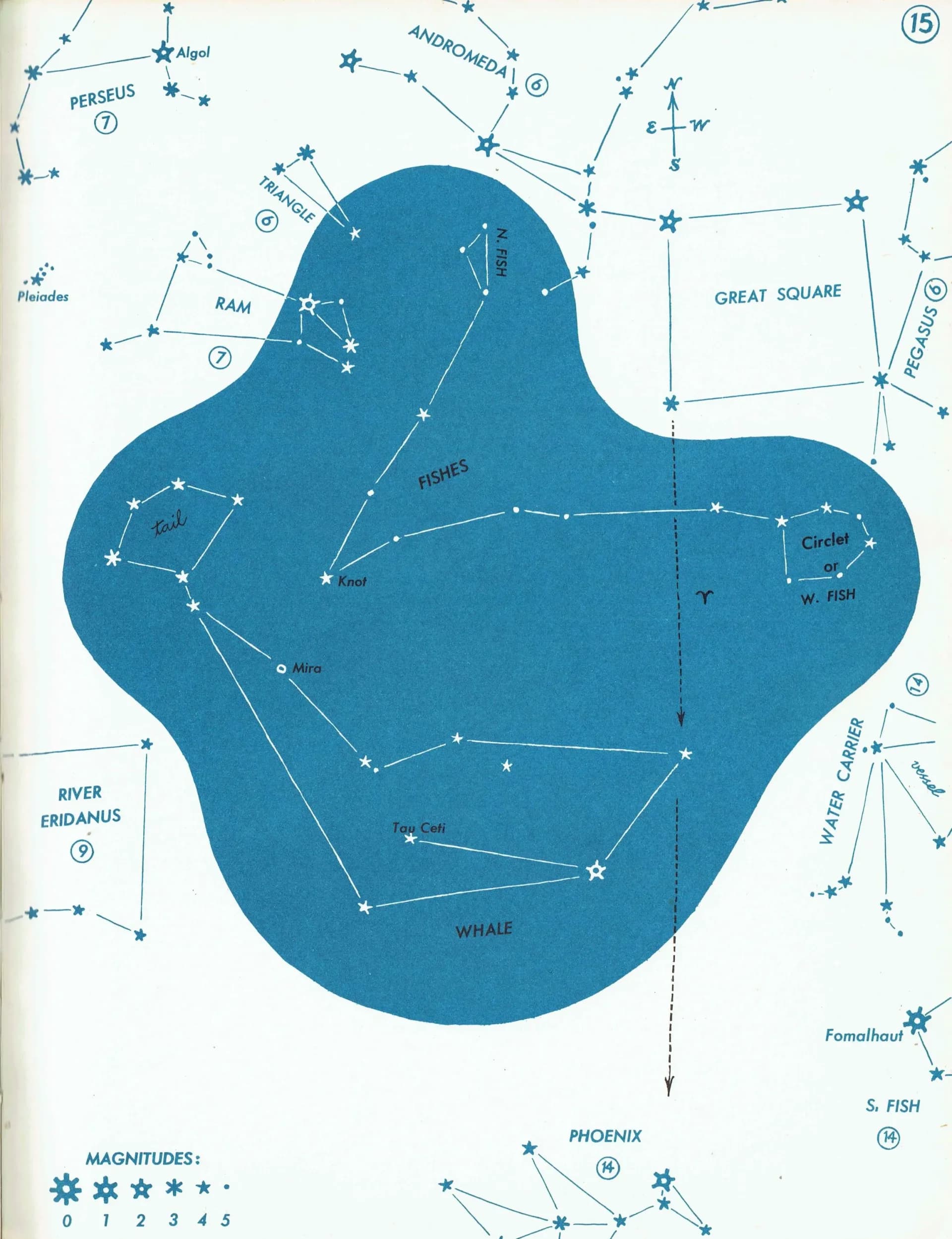 1952 Pisces Constellation Chart - Original Vintage Print By H.A. Rey - Zodiac Astronomy Star Map Celestial Navigation - 8 x 11 in