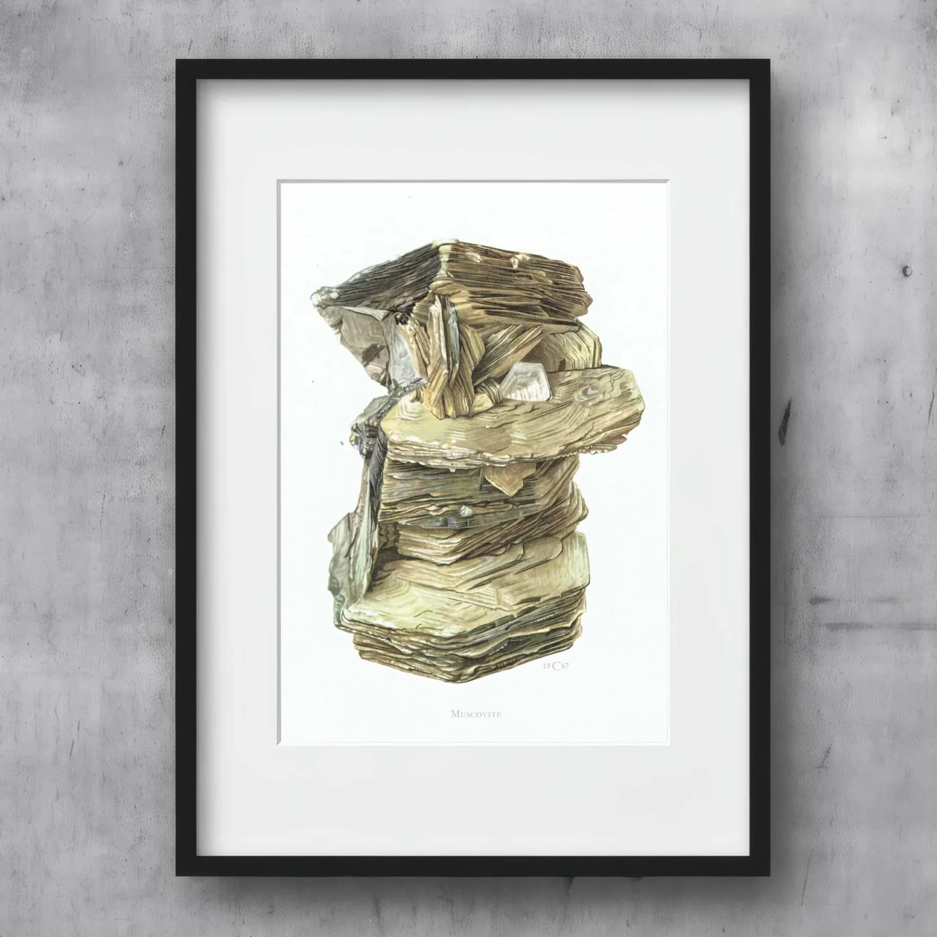 1969 Muscovite Mica - Original Vintage Print By Caspari - Mineral Study Scientific Natural History Geology Art - 7.5 x 10.5 in