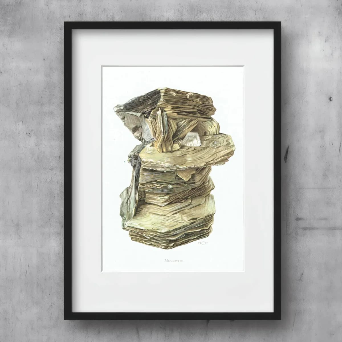 1969 Muscovite Mica - Original Vintage Print By Caspari - Mineral Study Scientific Natural History Geology Art - 7.5 x 10.5 in