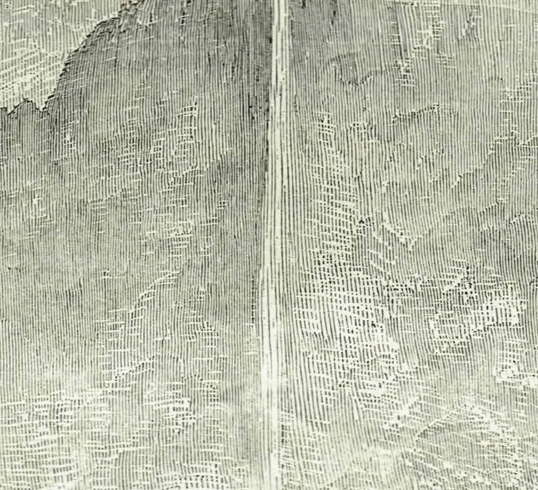 1870s Yosemite Waterfall - Grand Cascade Mountain Landscape - Victorian Original Woodblock Print - 8.5 x 12 in