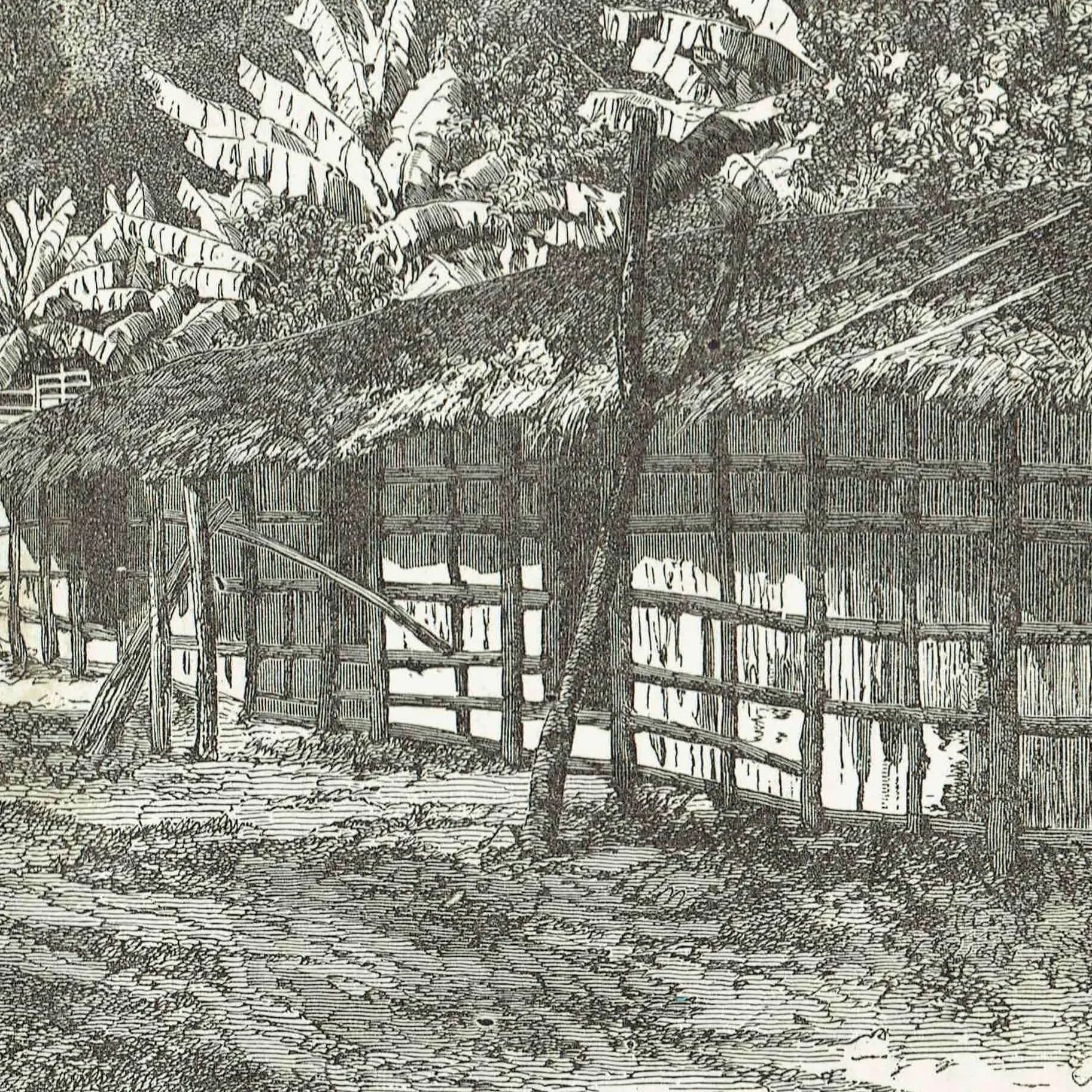 1869 Pahouin Village Africa - Original Antique Engraving - Illustrated Travels Bates Exploration Geography Adventure - 11 x 8.25 in