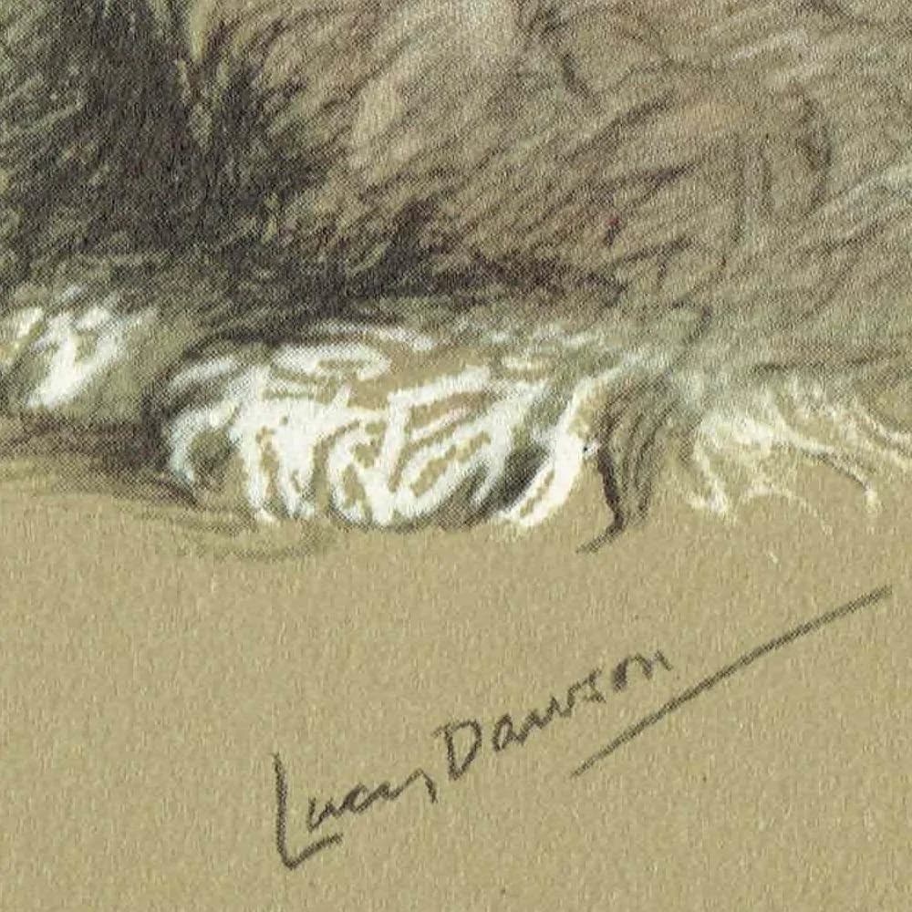 1946 Old English Sheepdog "Jill" - Original Vintage Print By Dawson - Dog Portrait Pet Art Neighbours Book - 7 x 9.5 in