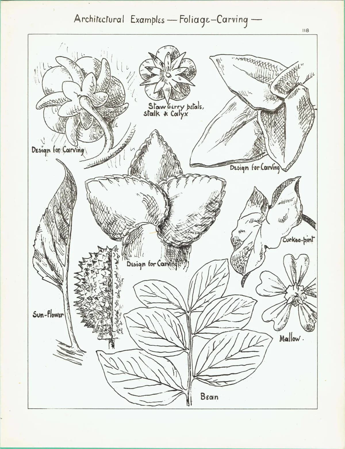 1898 Foliage Carving Architecture Print - Strawberry, Sunflower, Mallow & Bean Decorative Design Plate - 8 x 10.75 in